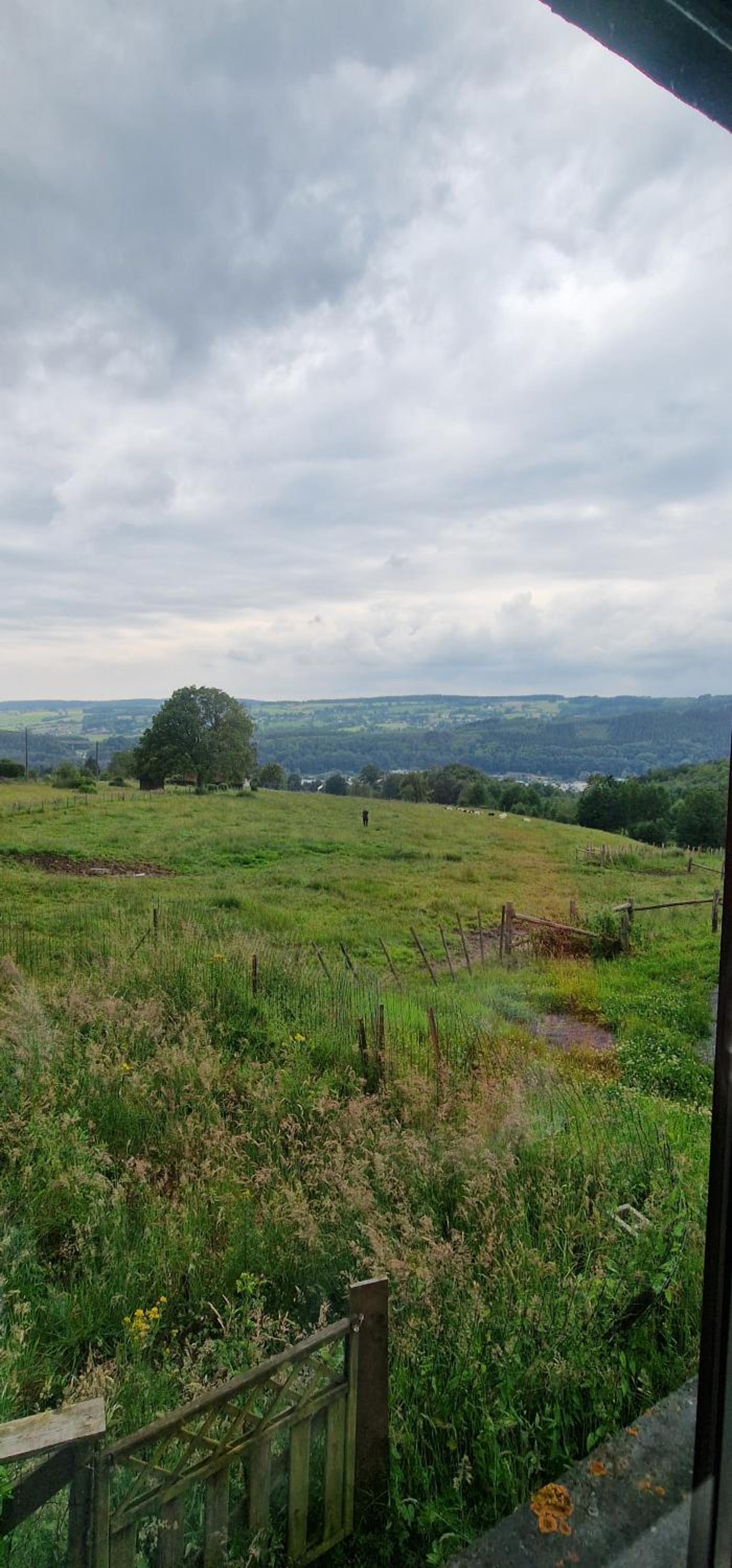 La petite suisse view 4