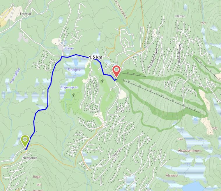 Nesfjellet