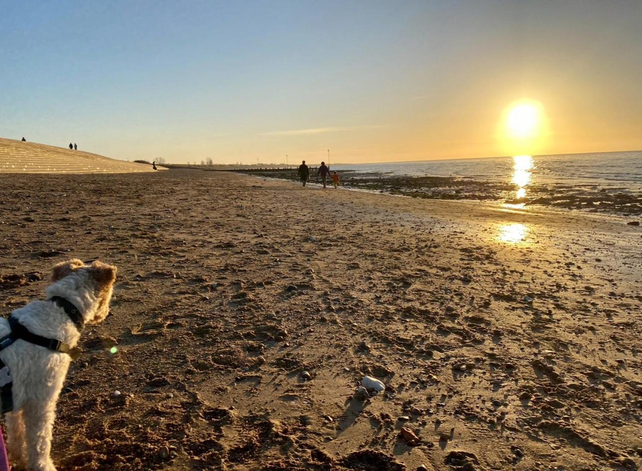 Kings Lynn Vacations - Sandy Toes  Cozy Night, Sleep 8 - Property Image 10