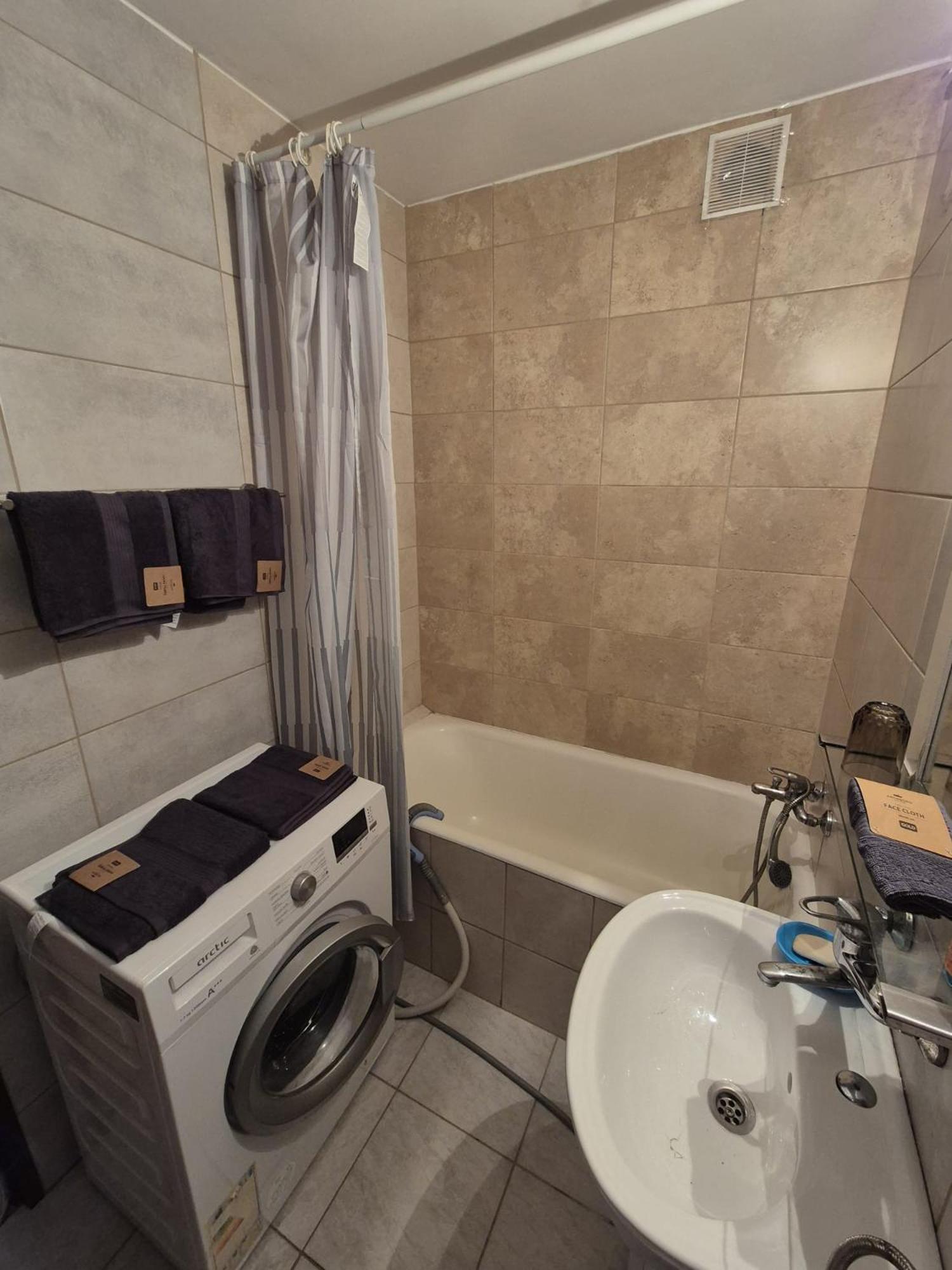 Muntean Apartment