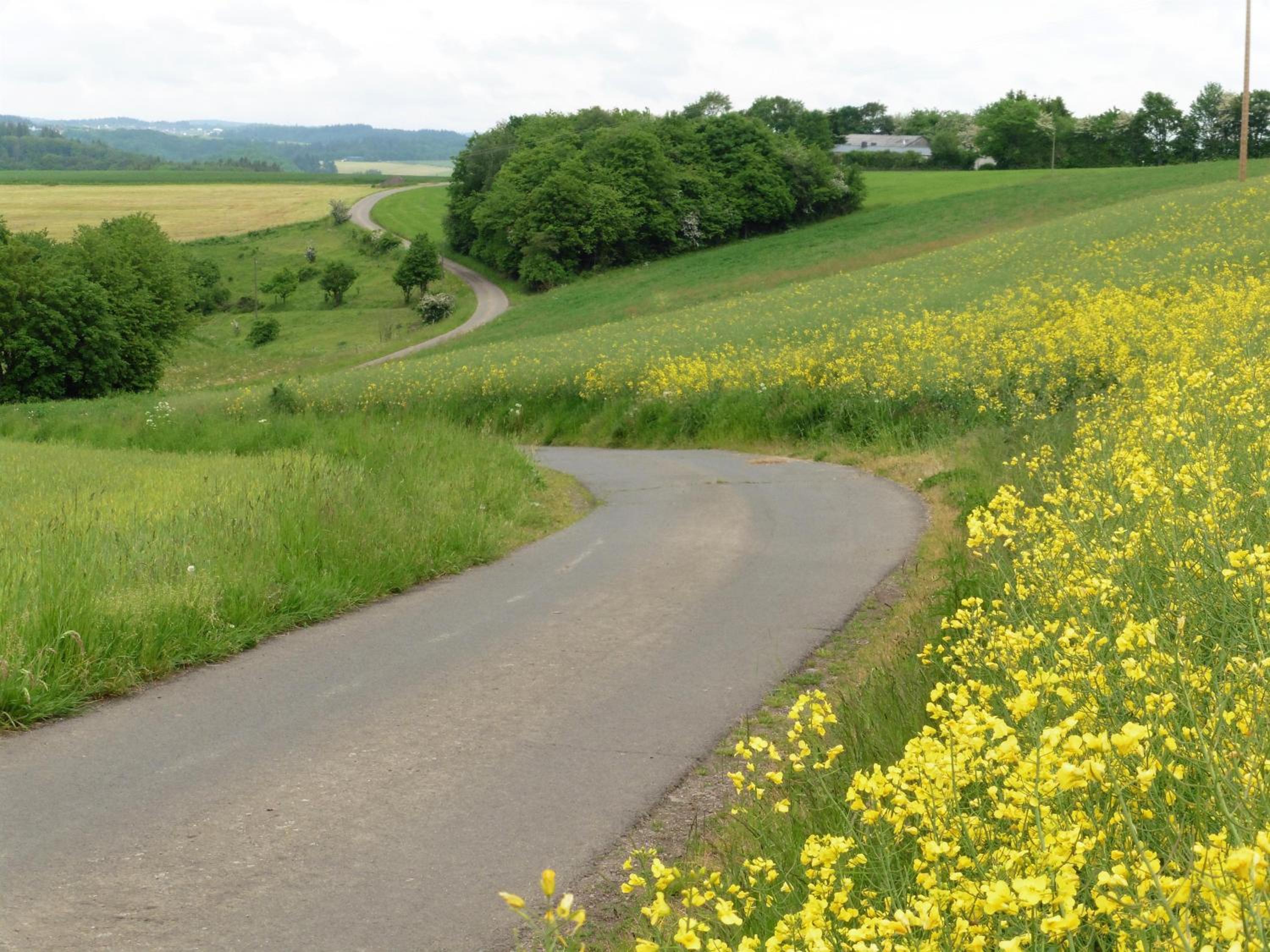 Ferienwohnungen Waldsicht und Dorfsicht
