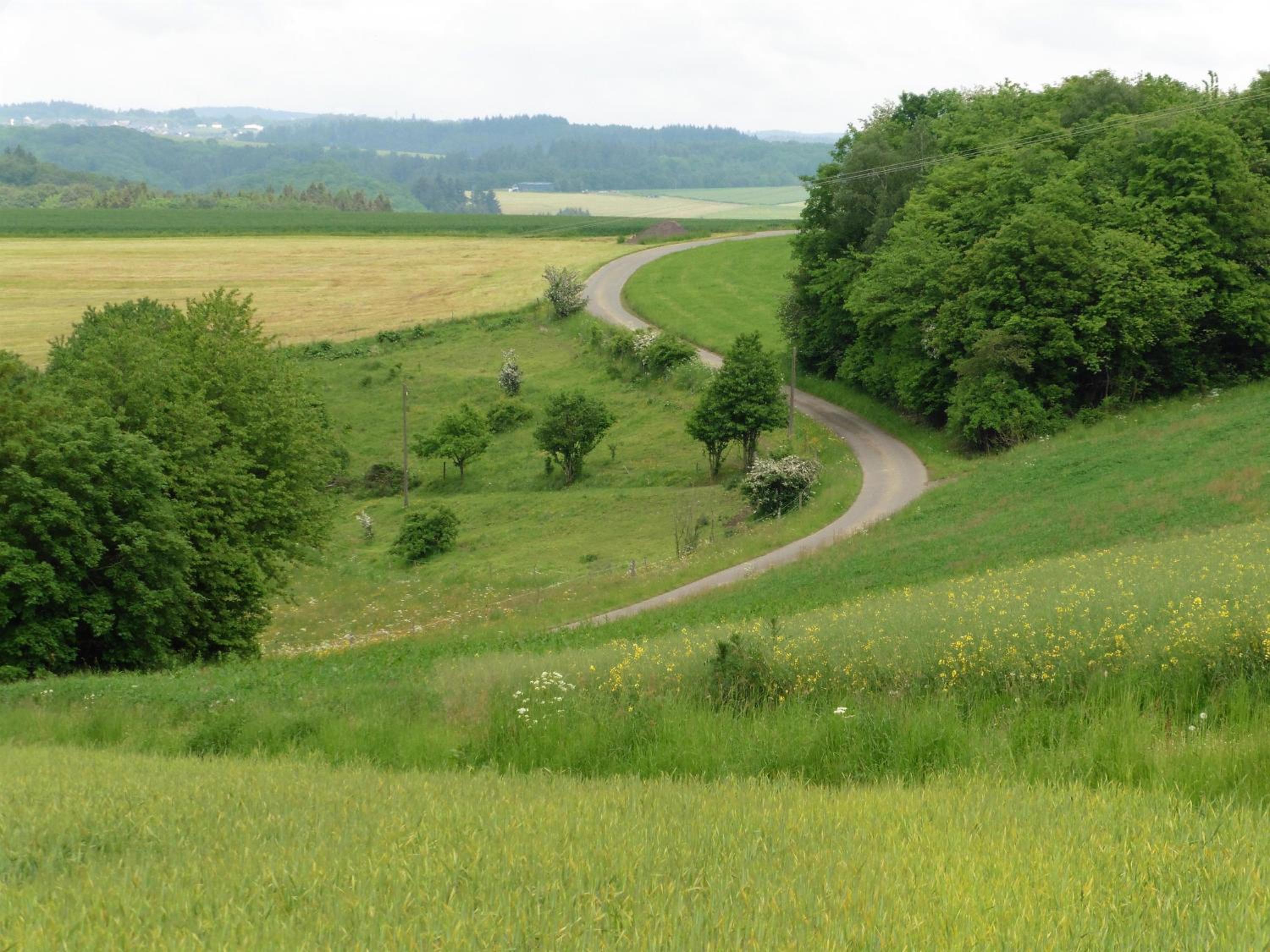 Ferienwohnungen Waldsicht und Dorfsicht