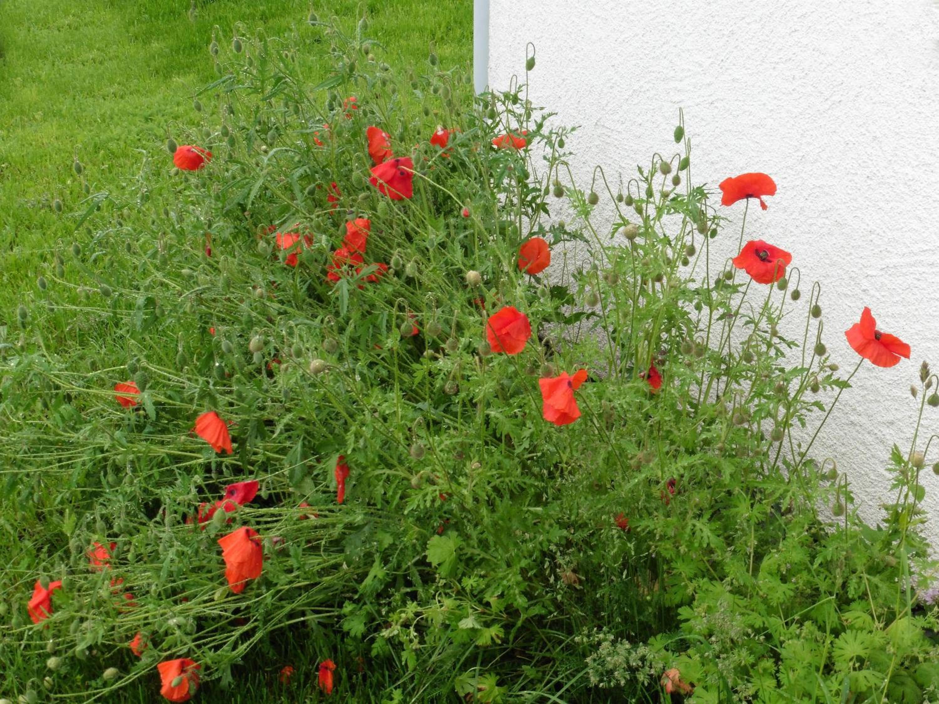 Ferienwohnungen Waldsicht und Dorfsicht