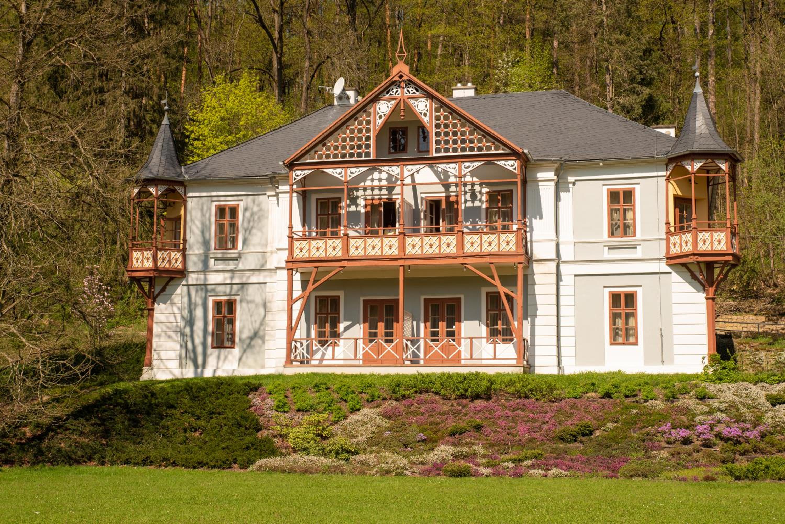 Alpská růže