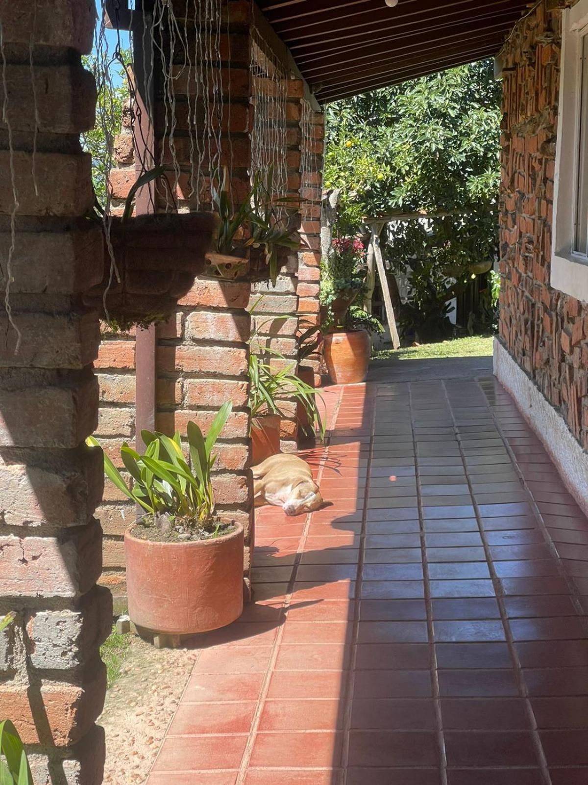 Encanto Verde