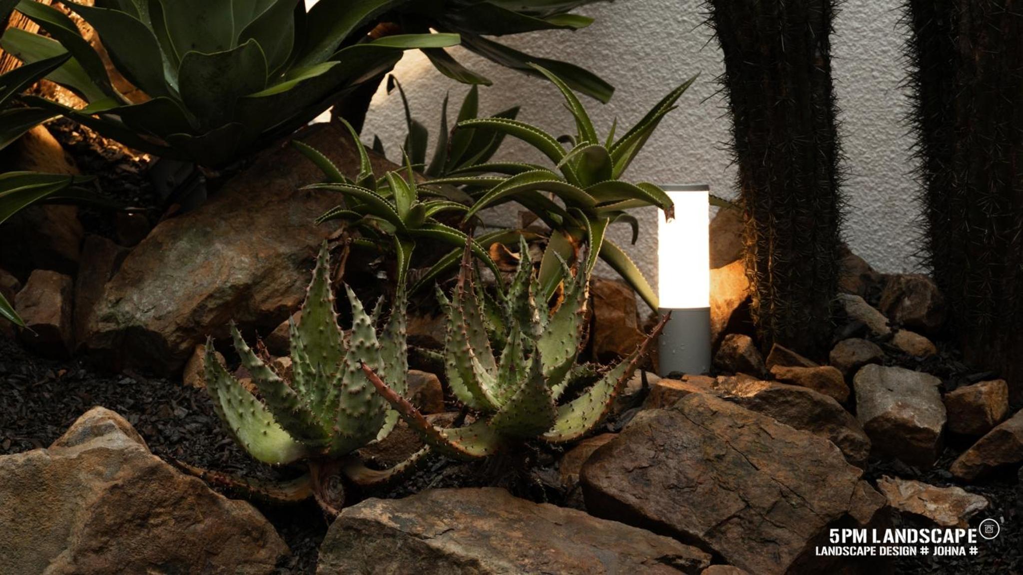Plant House view 5