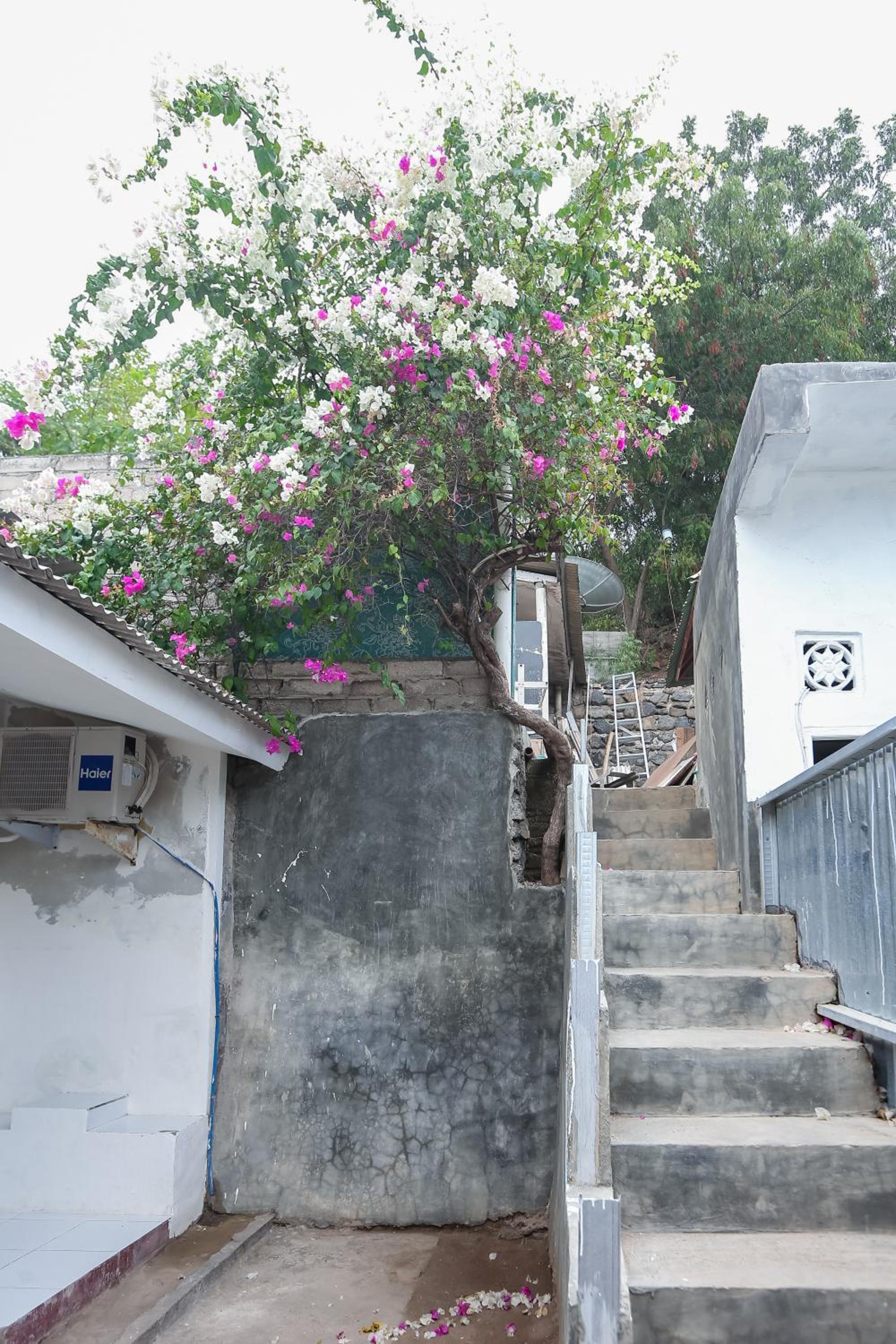 Mama su house
