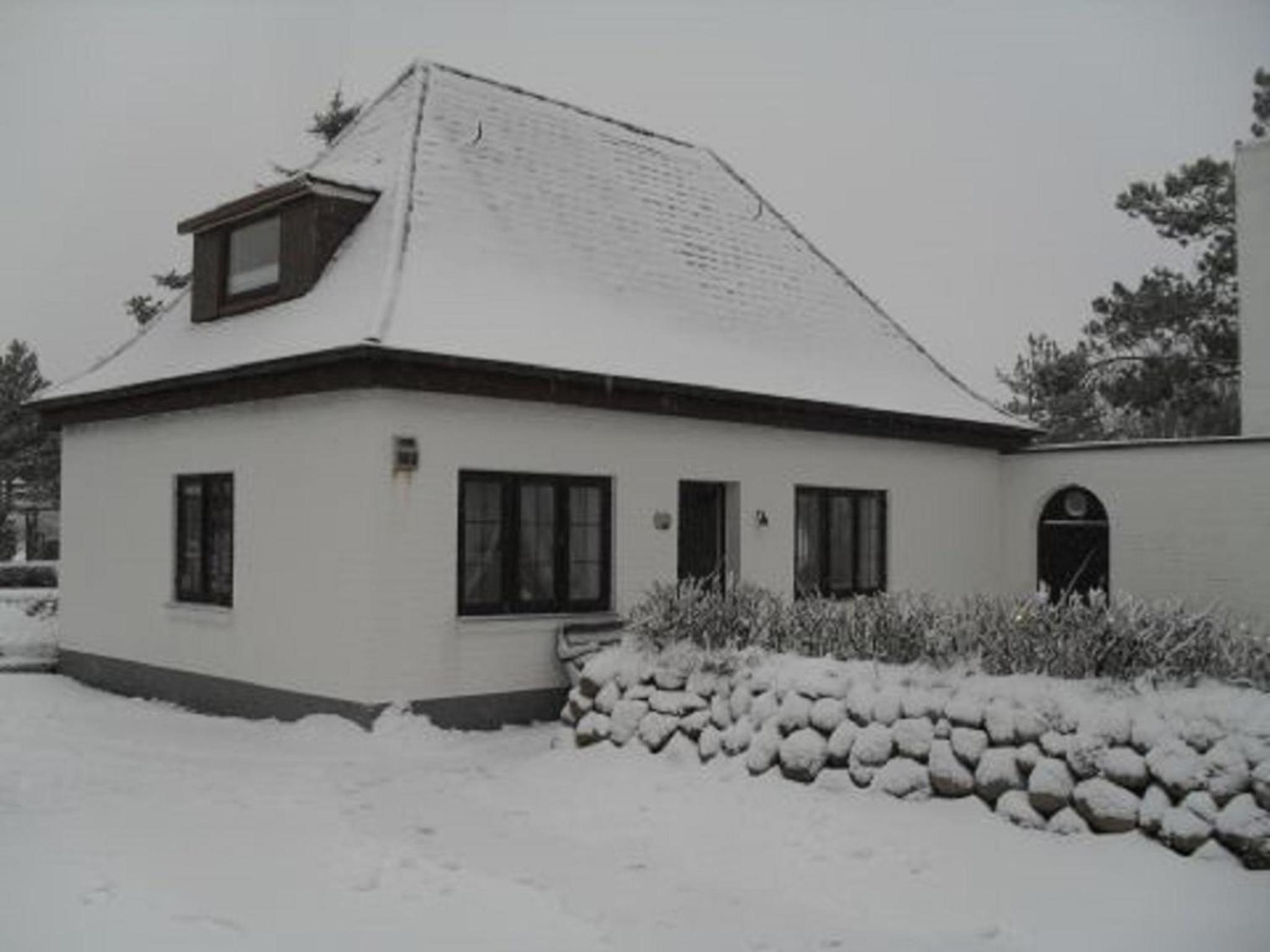 Kiekut