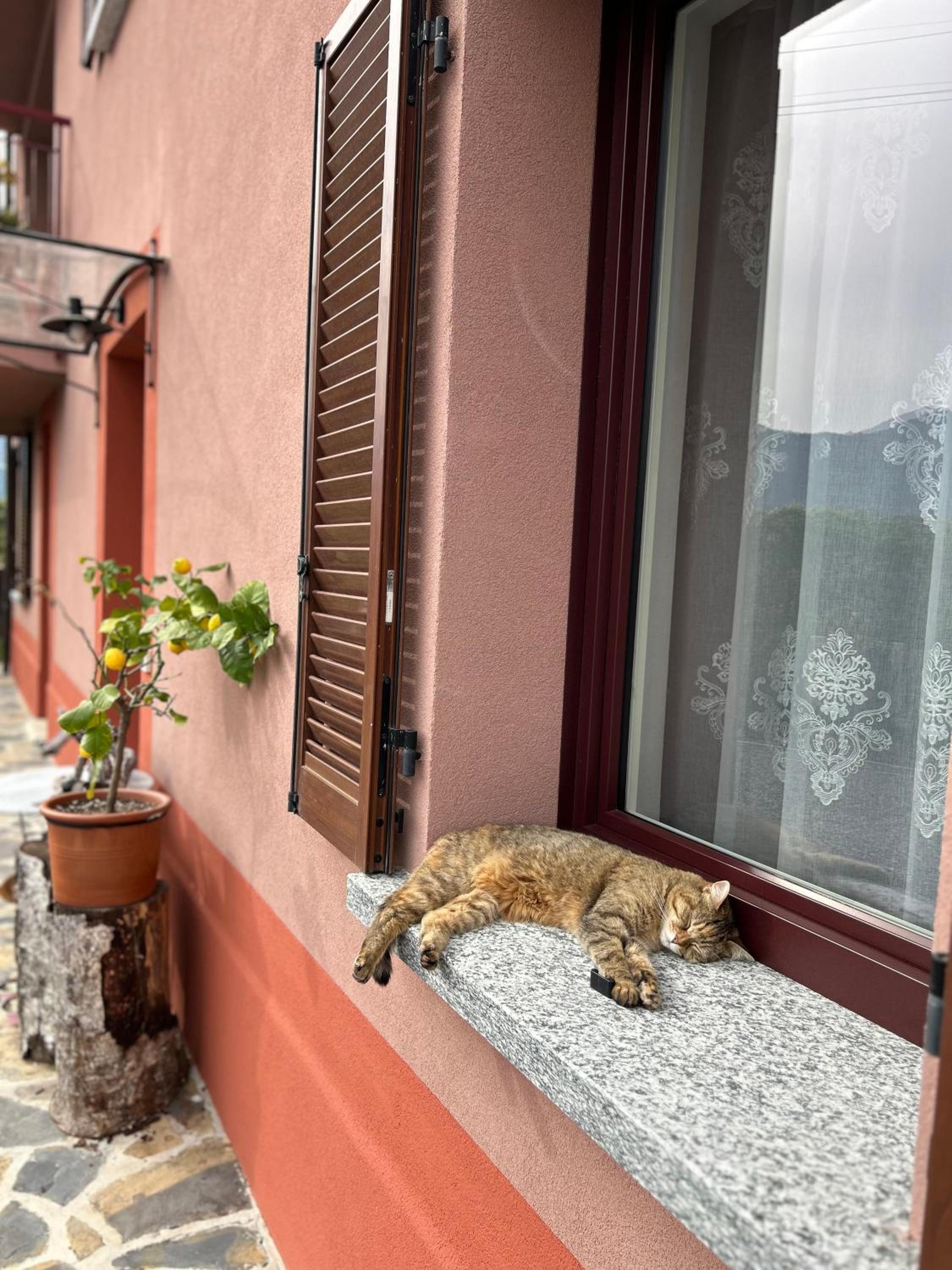 Il Mallo Verde - Lake Como B&B photo 3