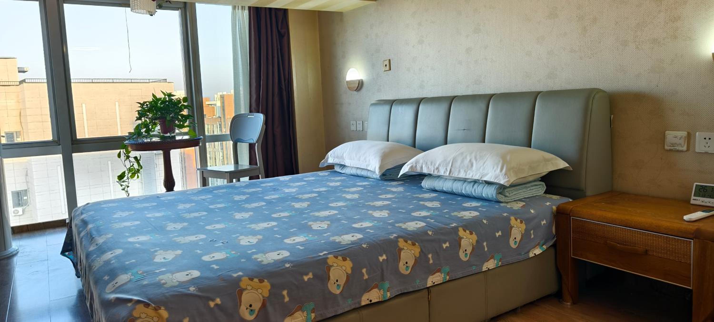 Chaoyang Joy City Hardcover Apartment view 5