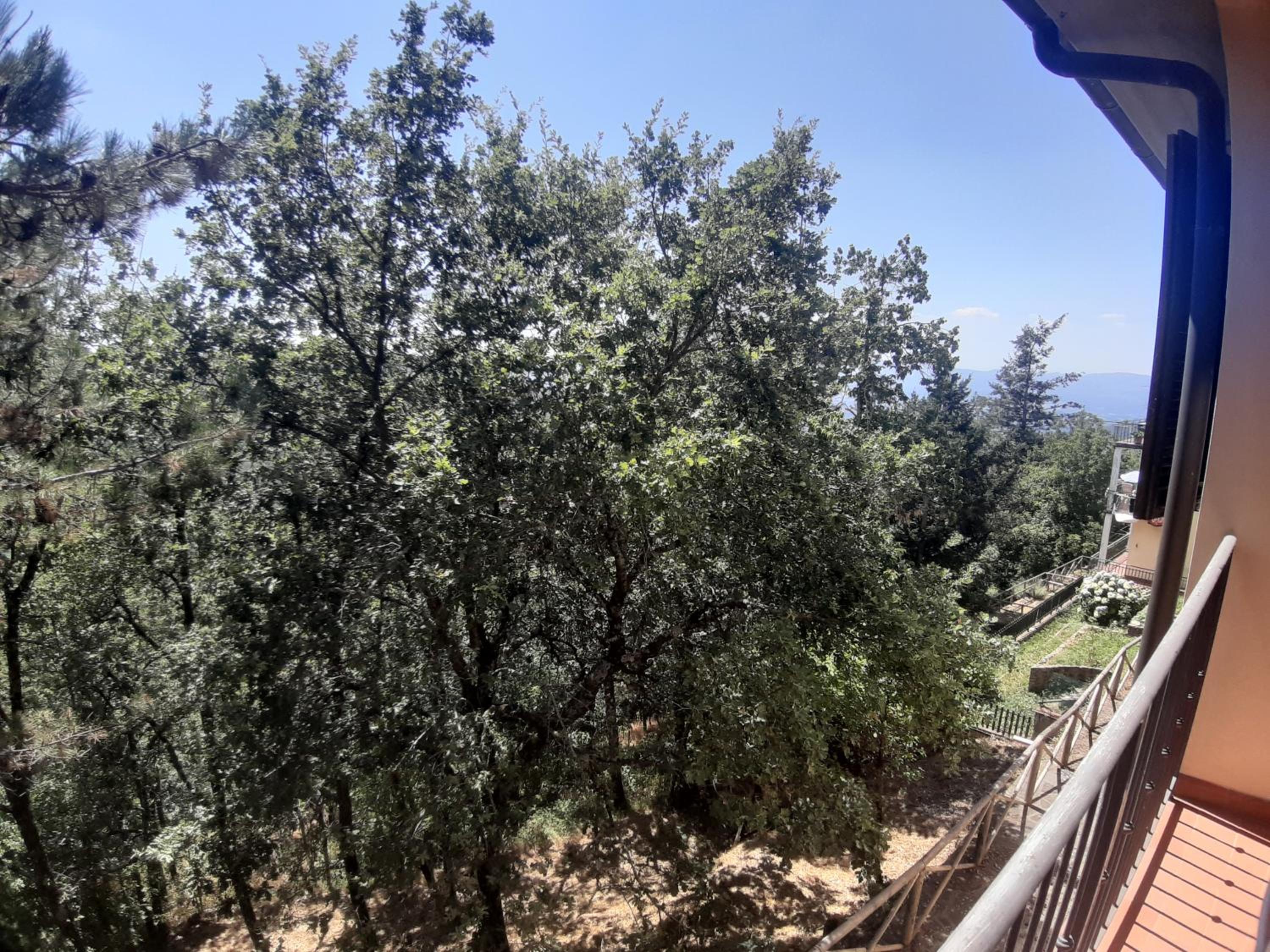 La Trappola Forty-Nine Loro Ciuffenna Wi-Fi Cottage