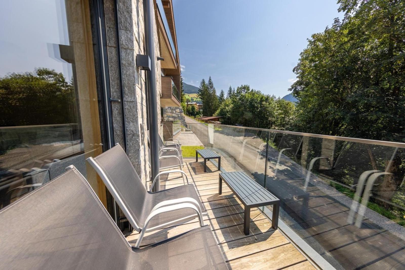 Appartement Schmittenblick Top 3