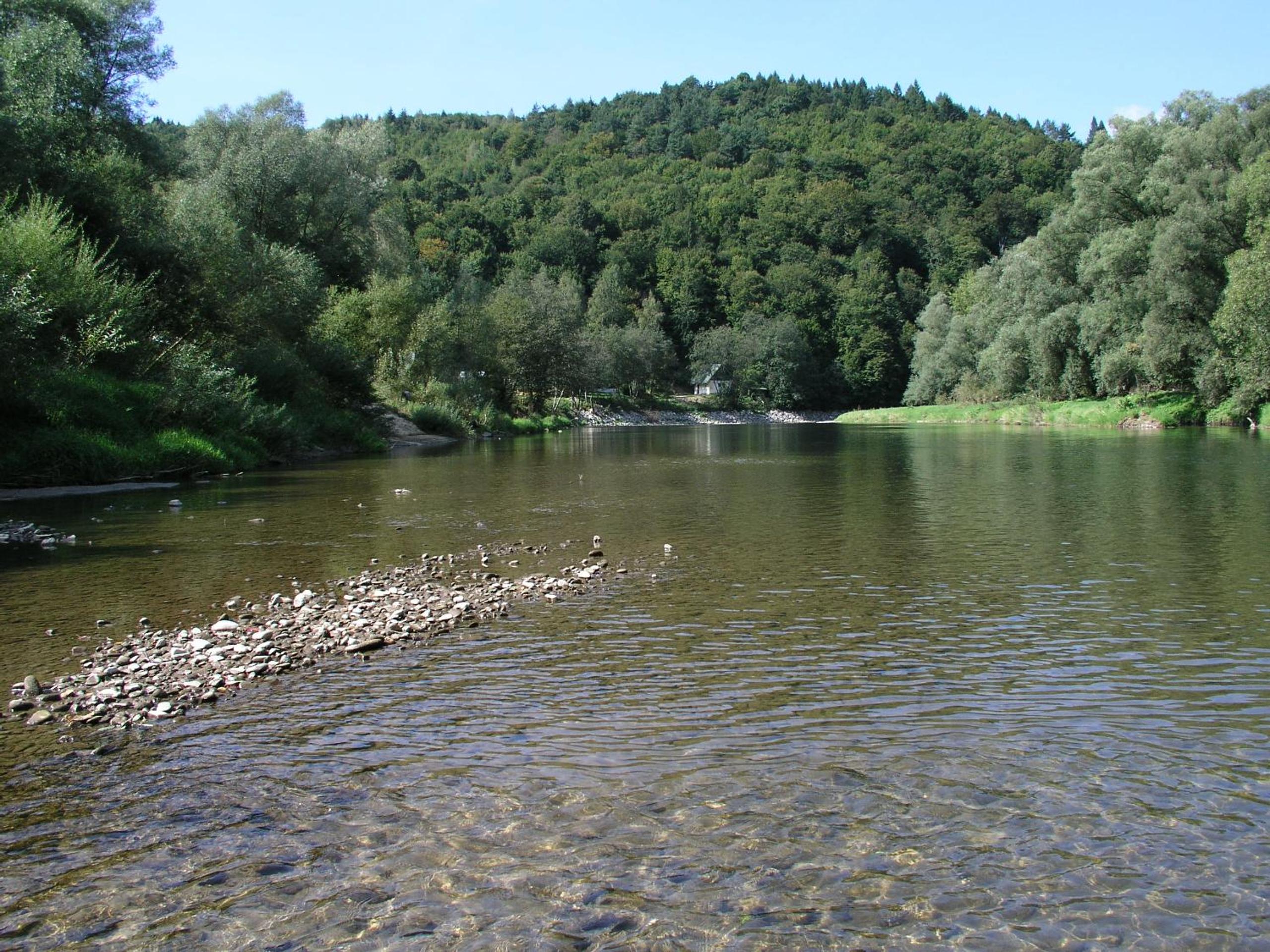 Photo 22