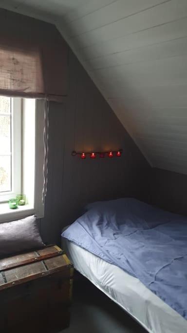Photo 8
