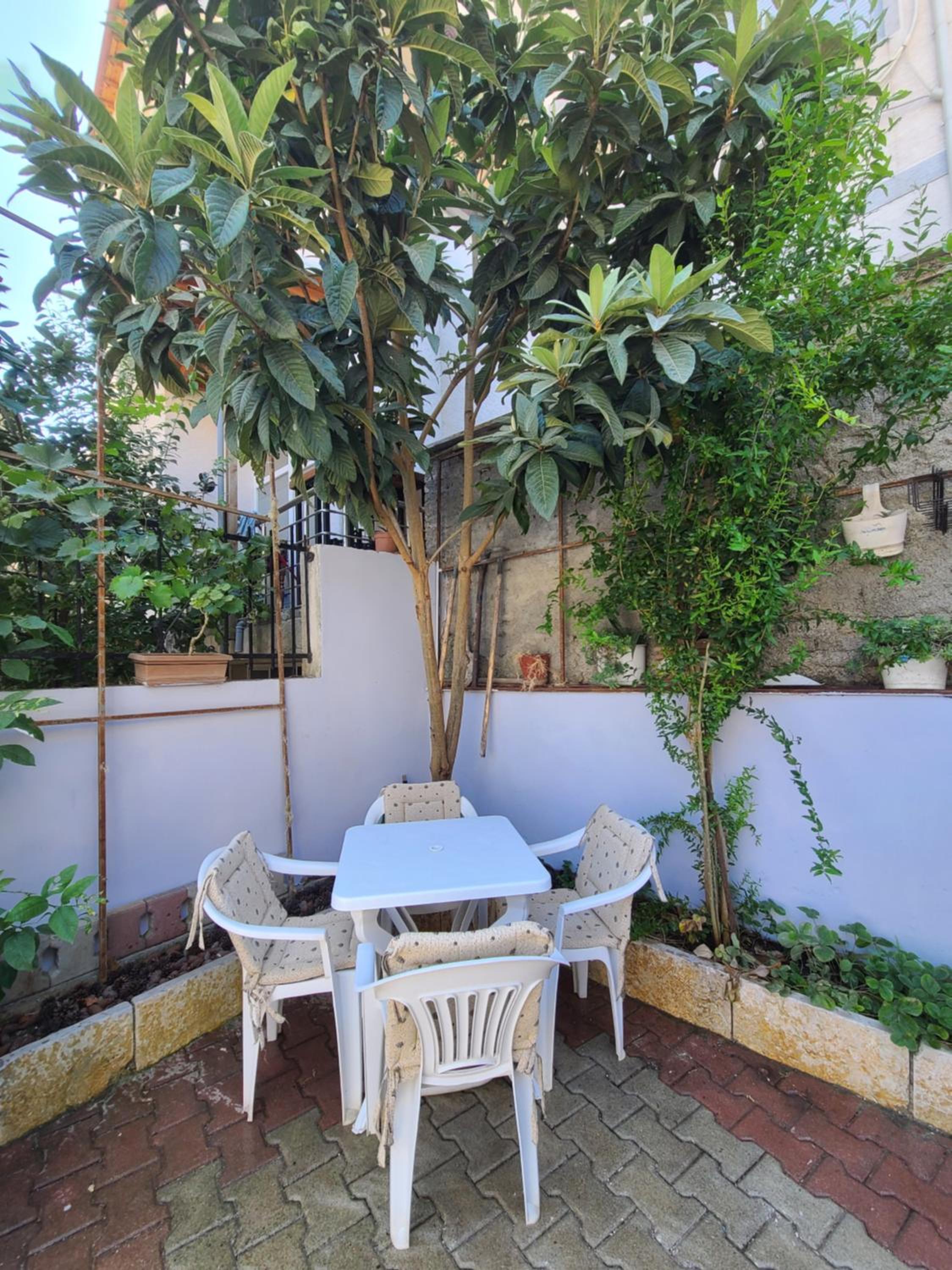 Guraziu Home