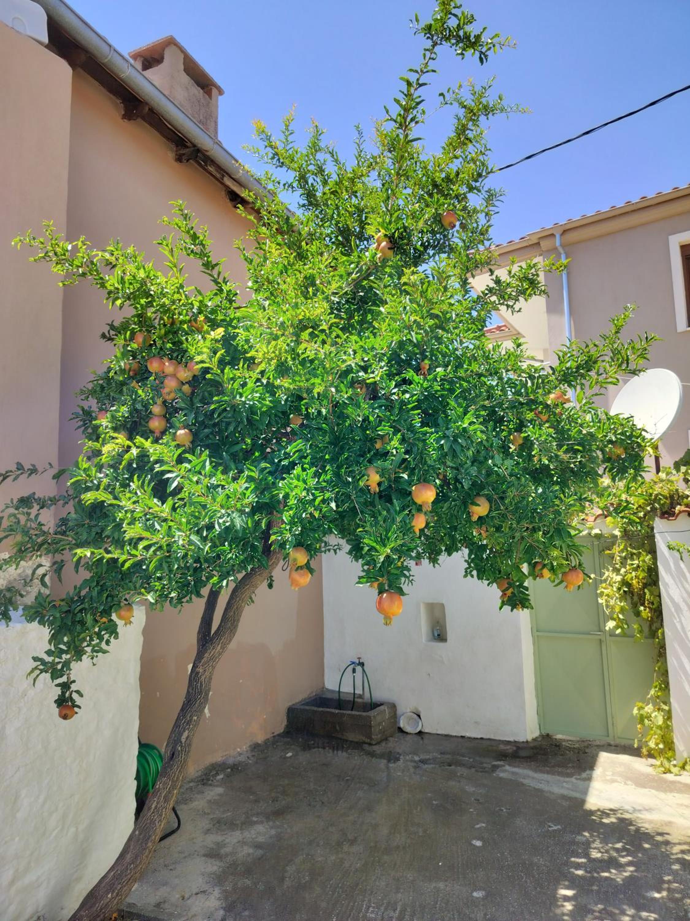 ilkay's House