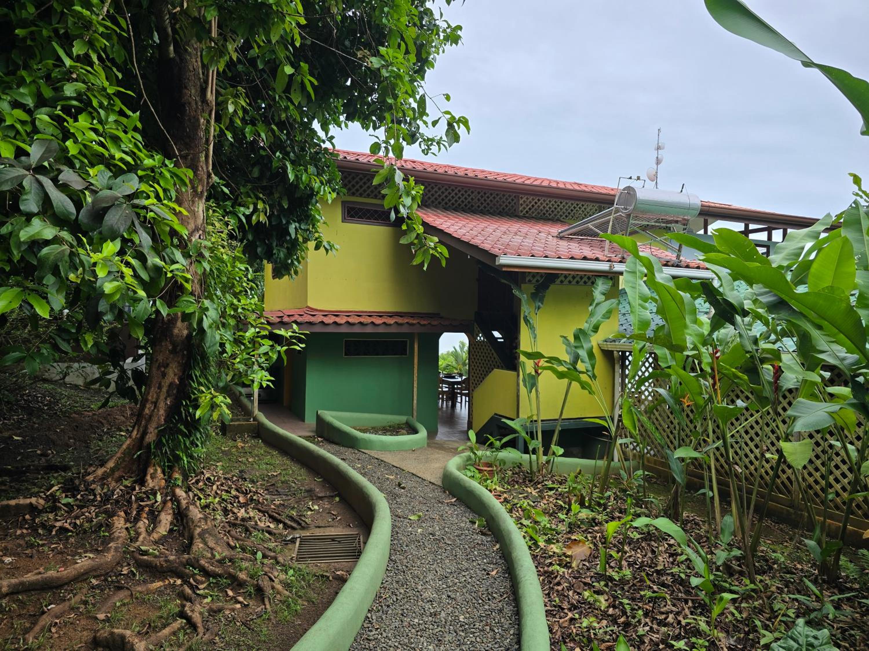 LiS house