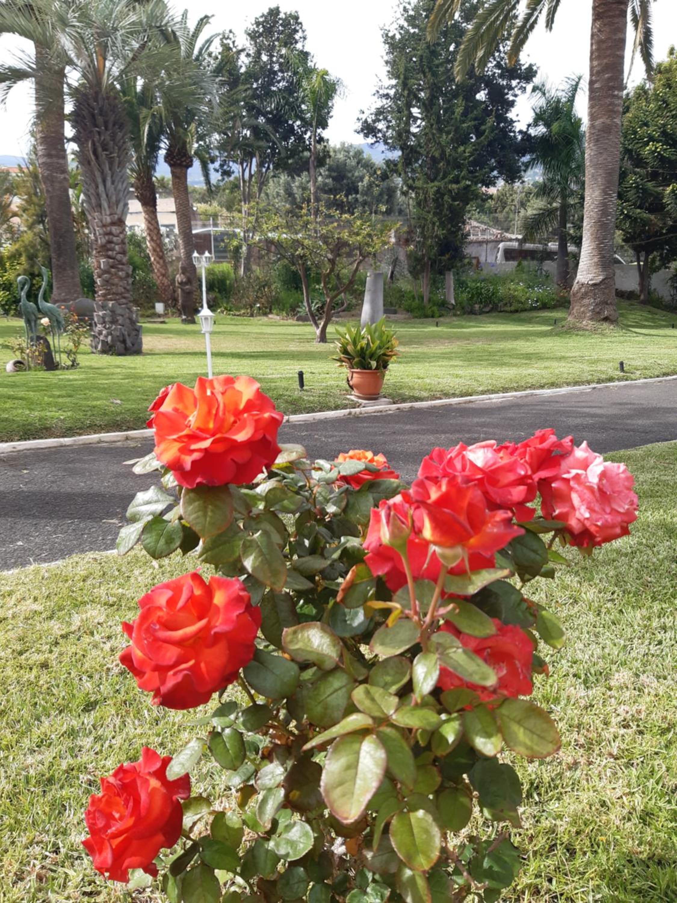 La Perla Exotica