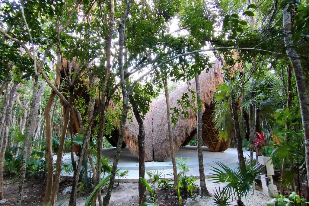 Beautiful Relax Apartment Aldea Luum Zama Tulum view 4
