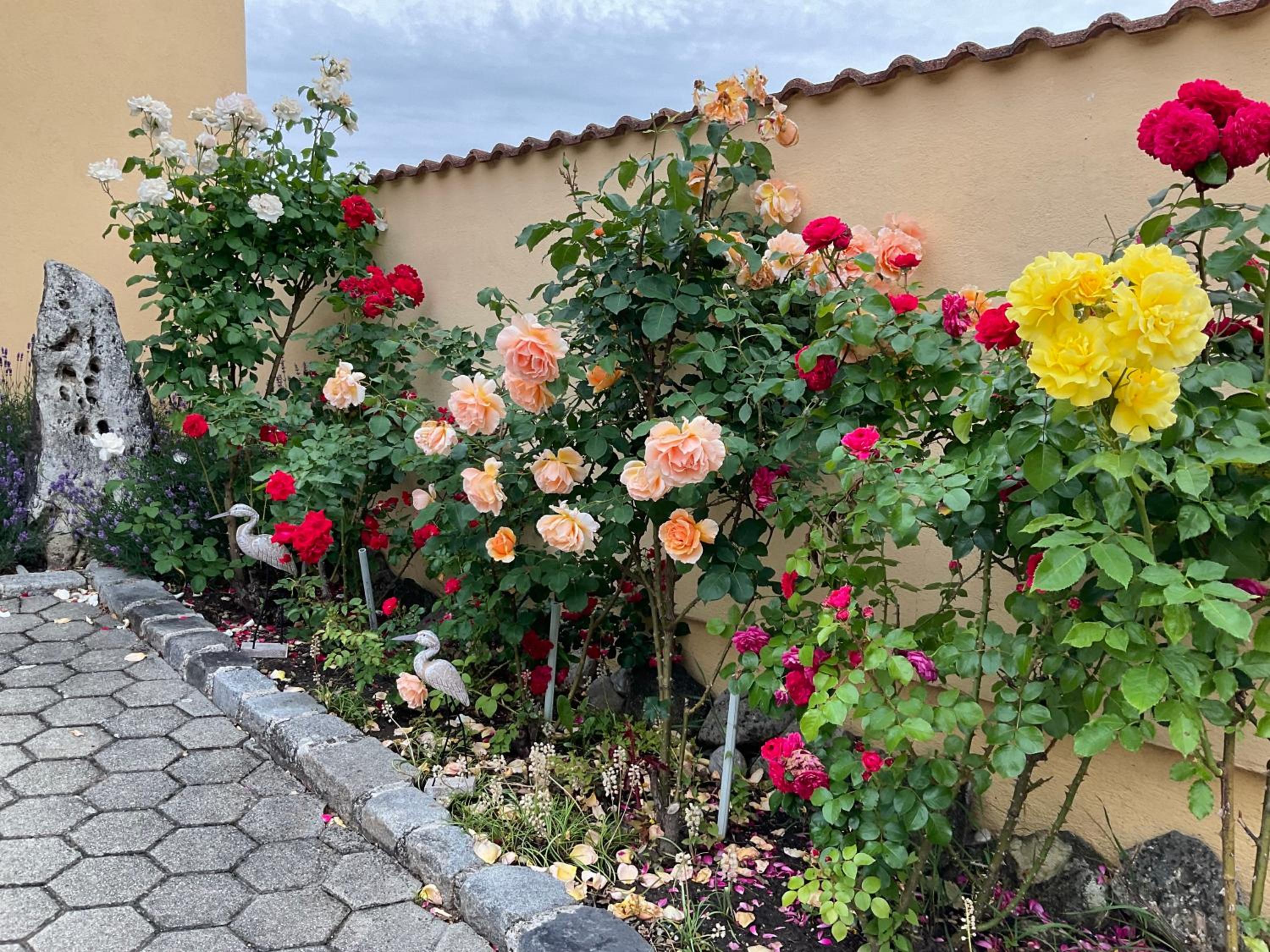 Haus Martin - Schneeberger