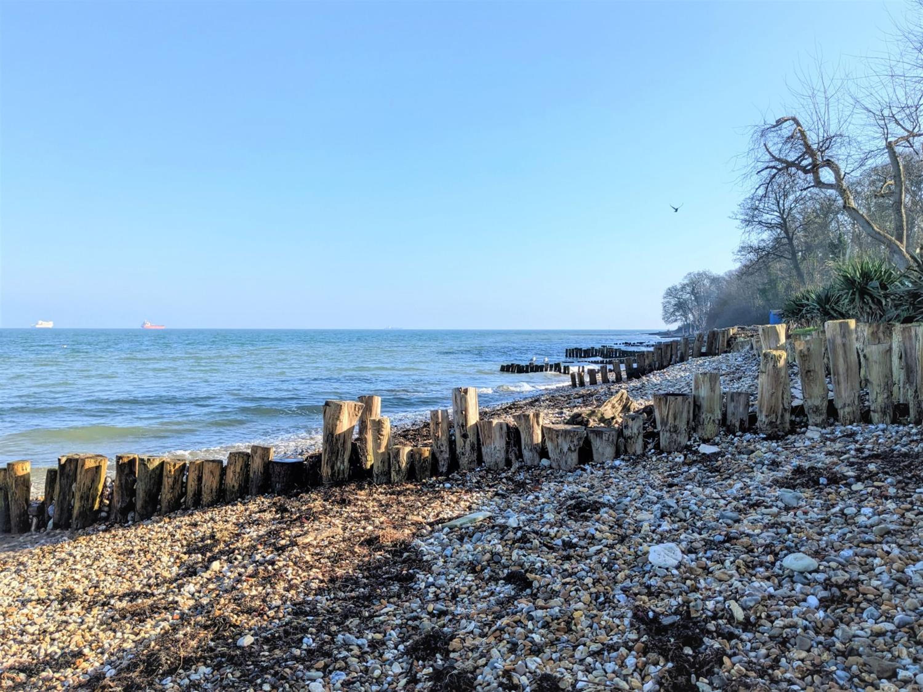 Gull Cottage