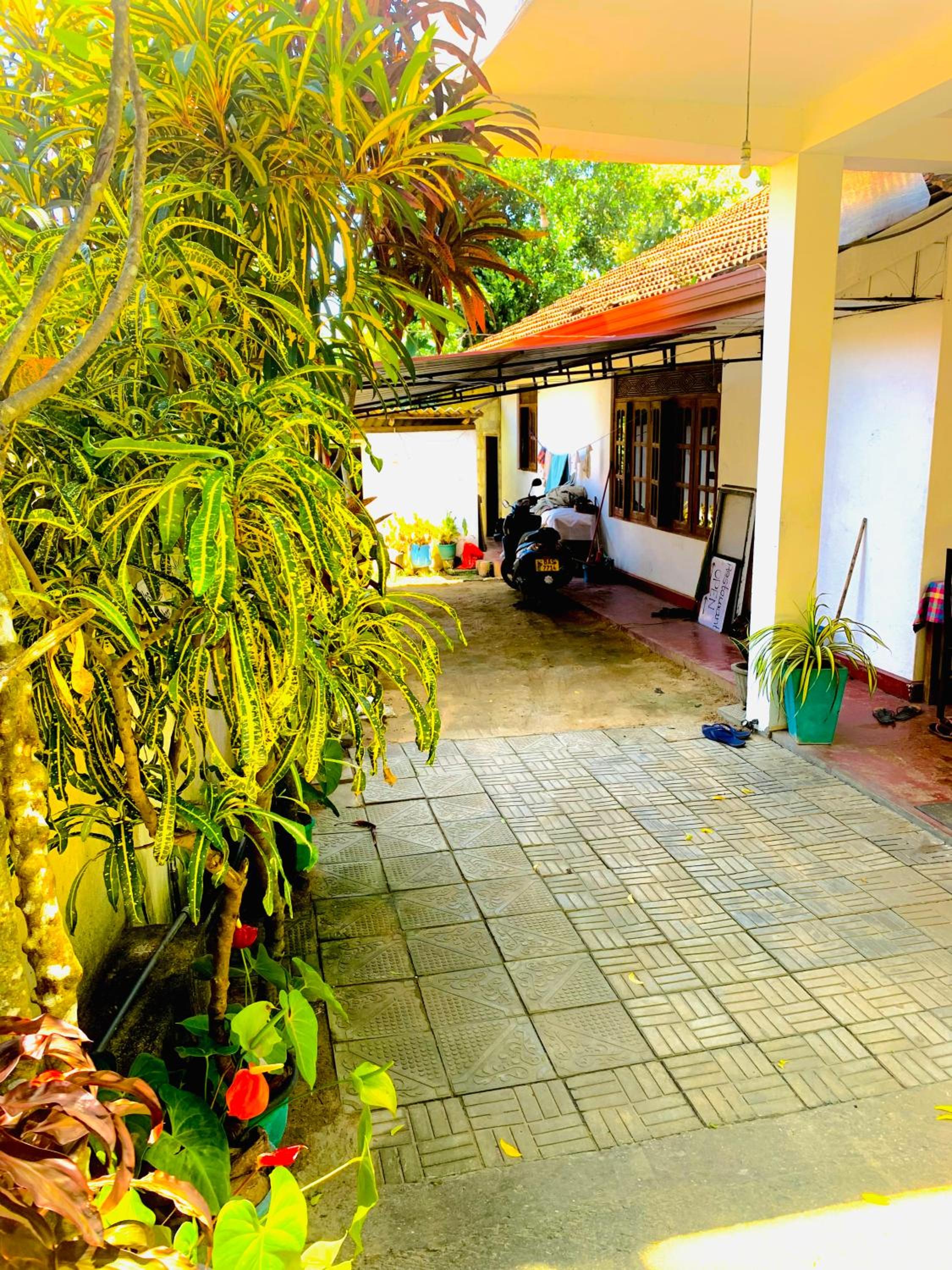Photo 13