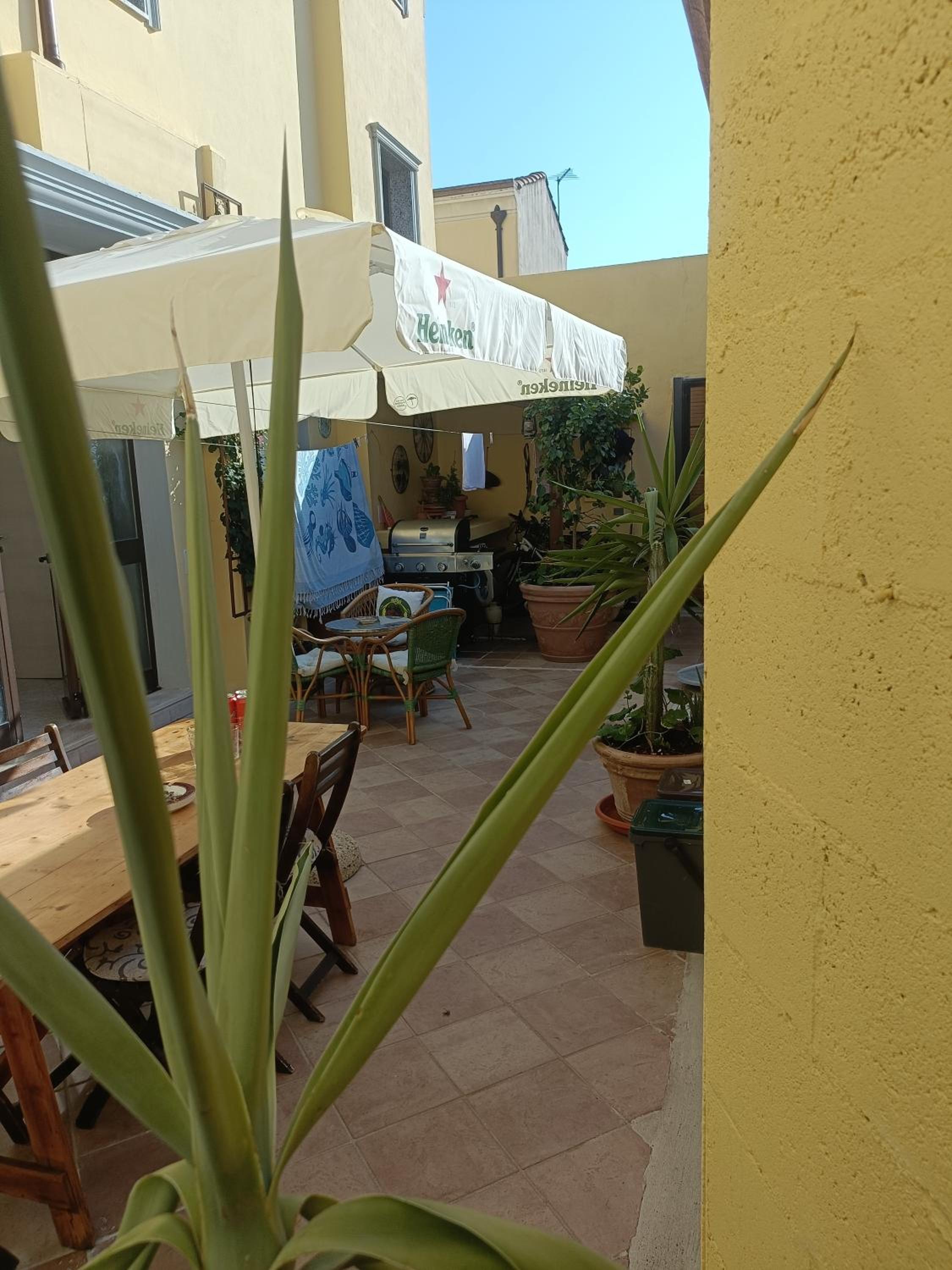 Simbilis B&B Holiday Experience Aloe view 4