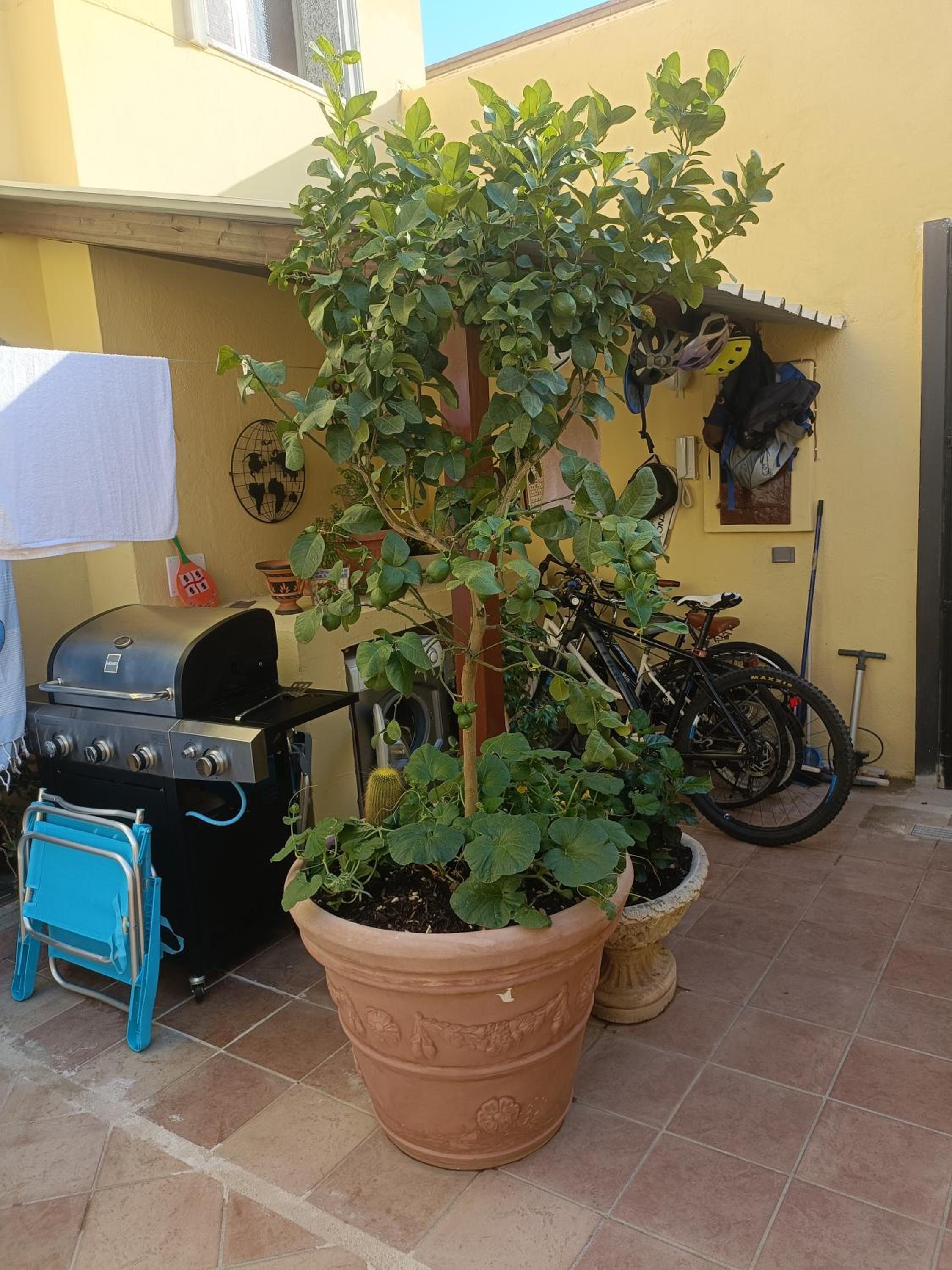 Simbilis B&B Holiday Experience Aloe view 5