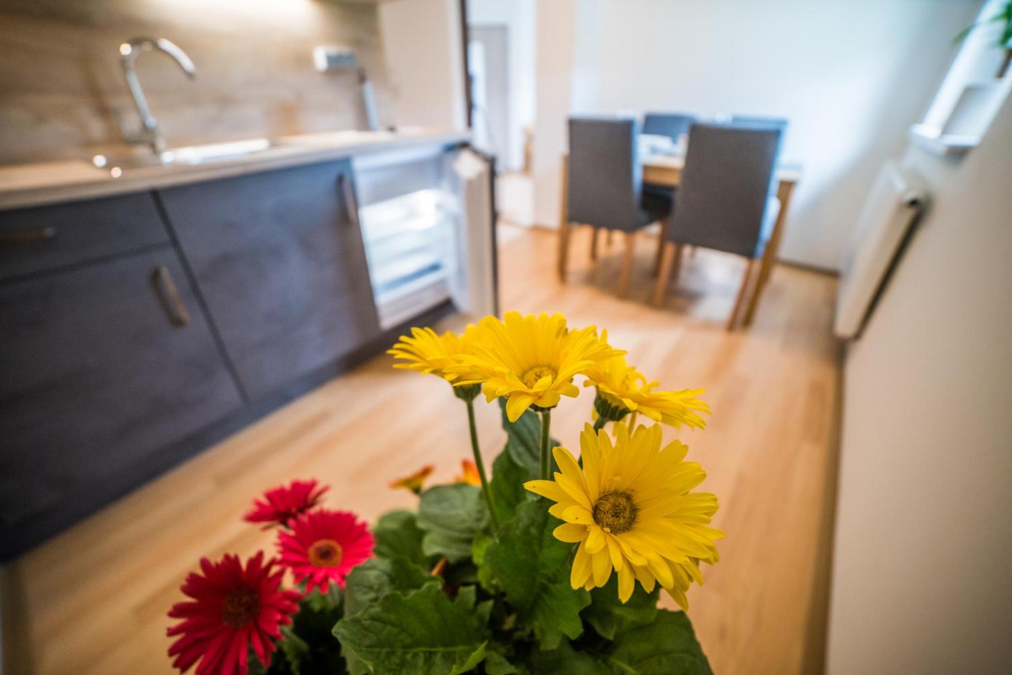 Apartmány Hasičárna