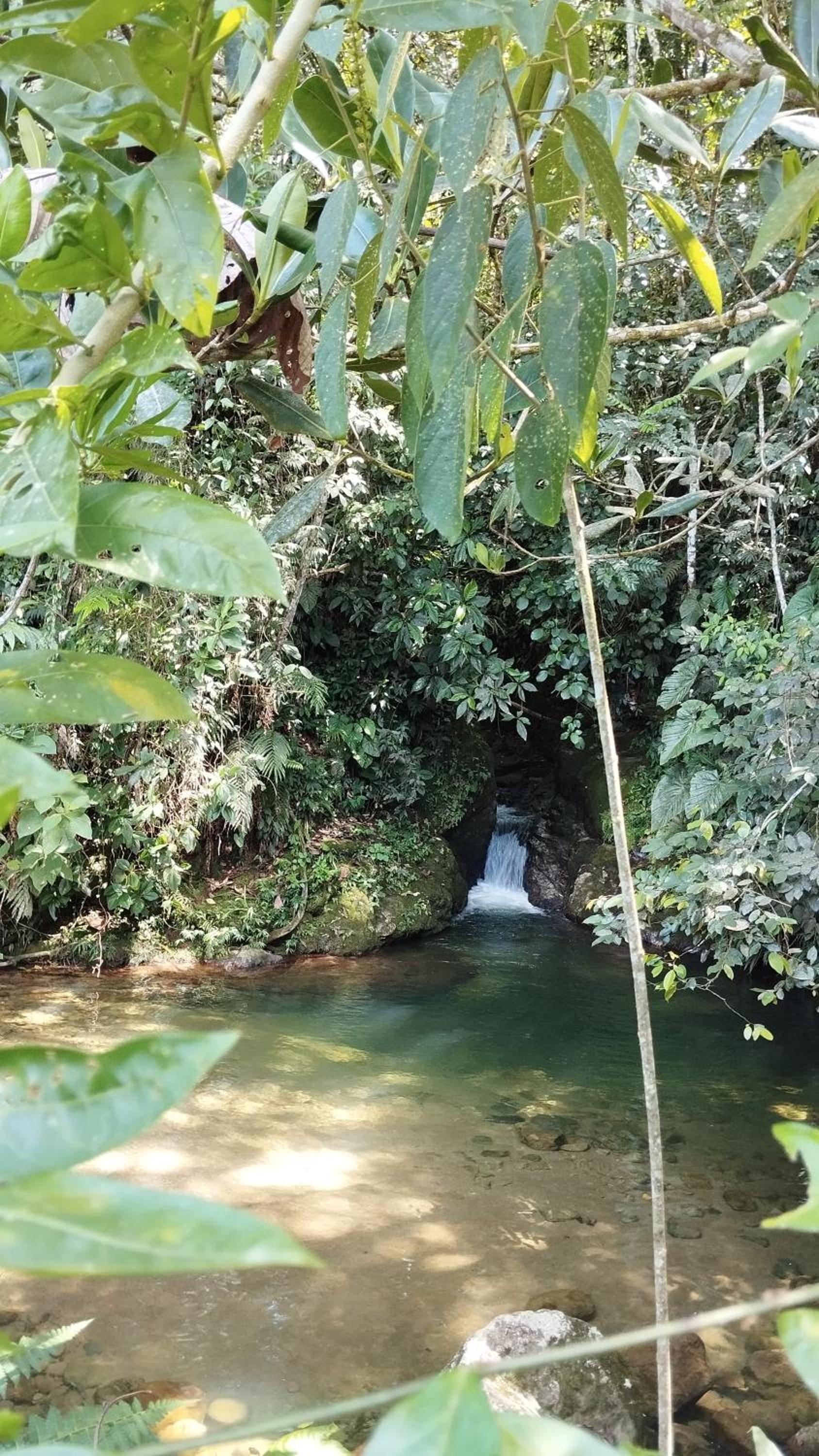 Alojamiento Natural La Cueva de Morgan San Rafael
