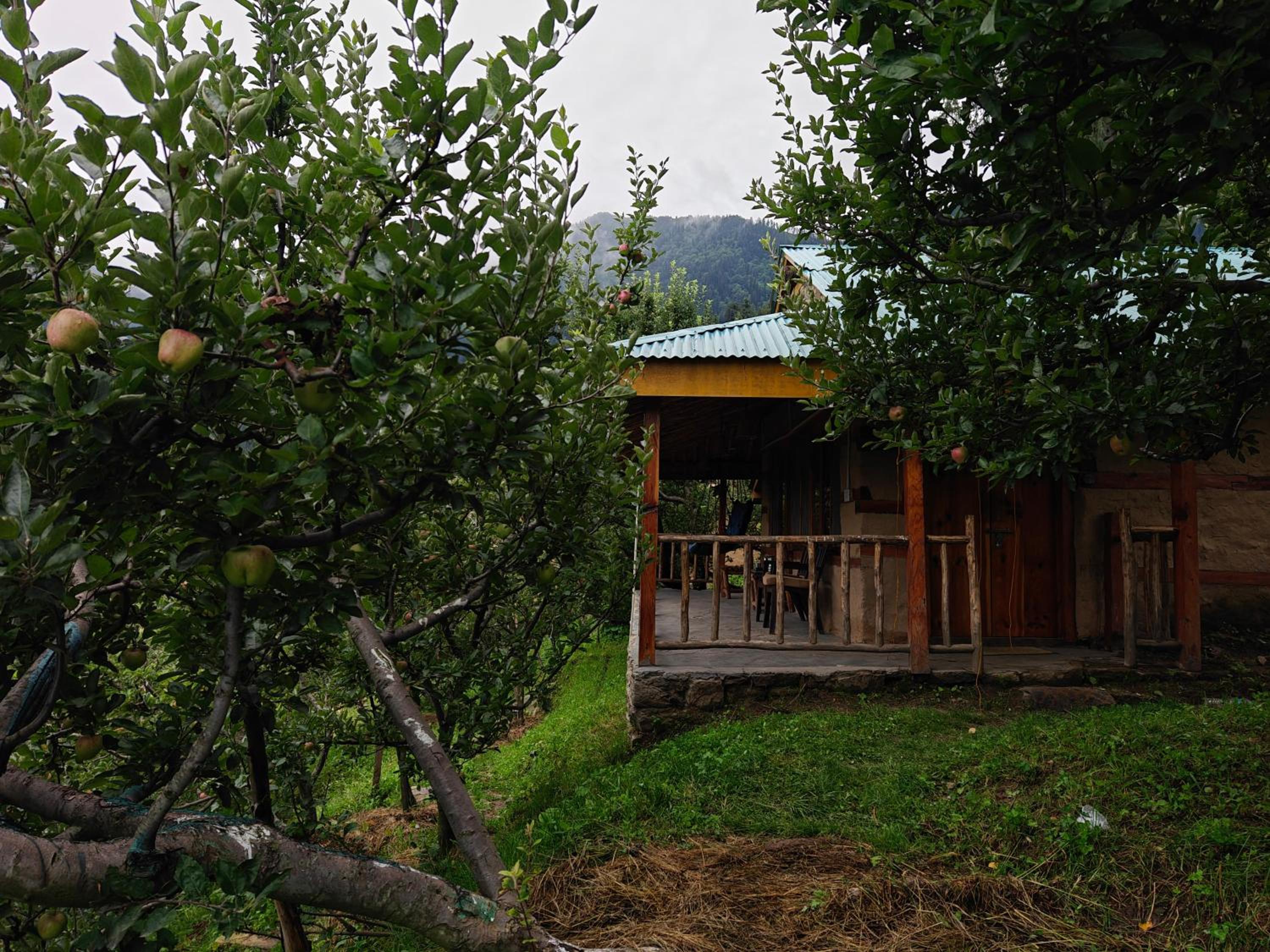 Photo 47