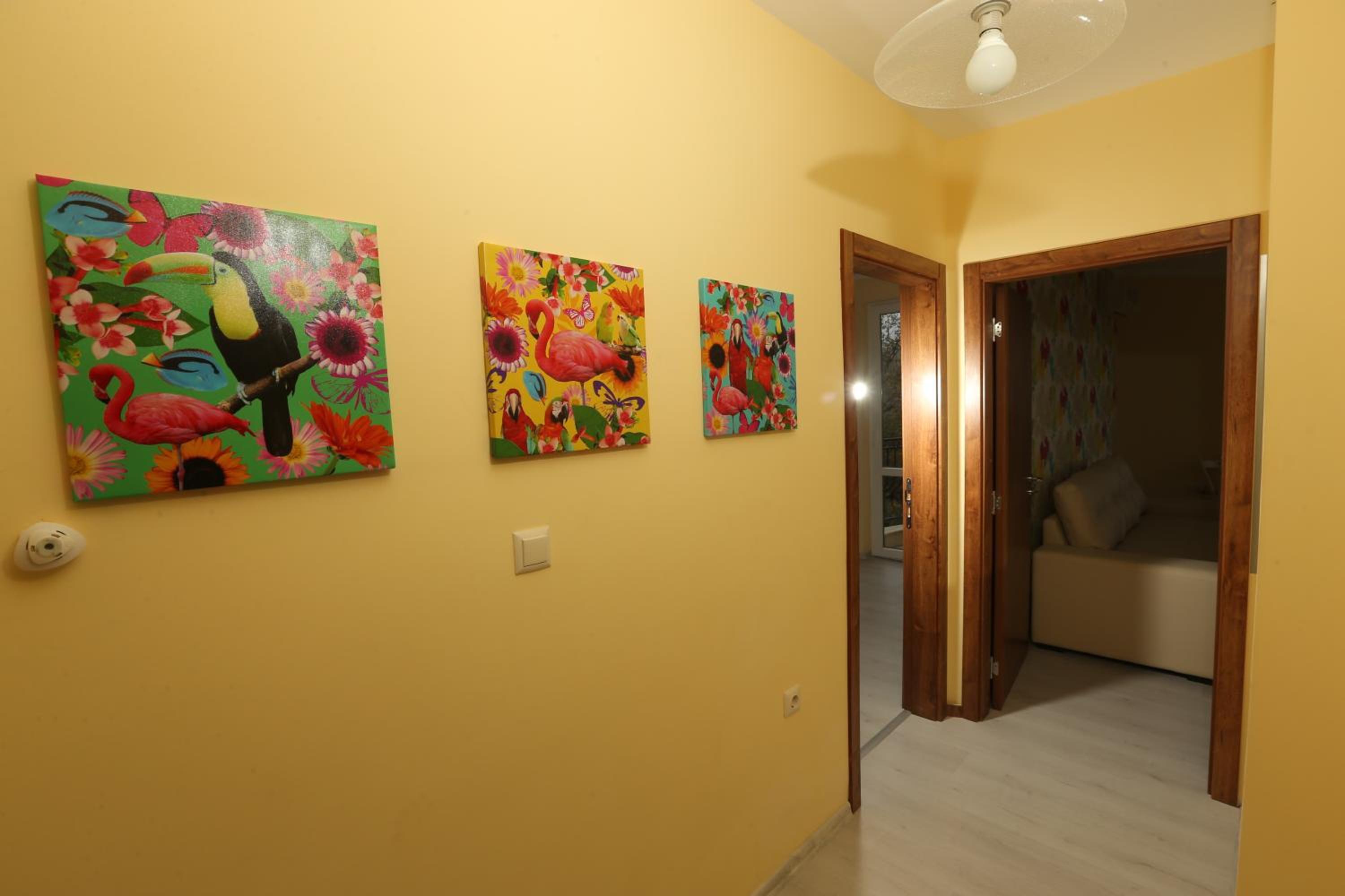 Photo 46