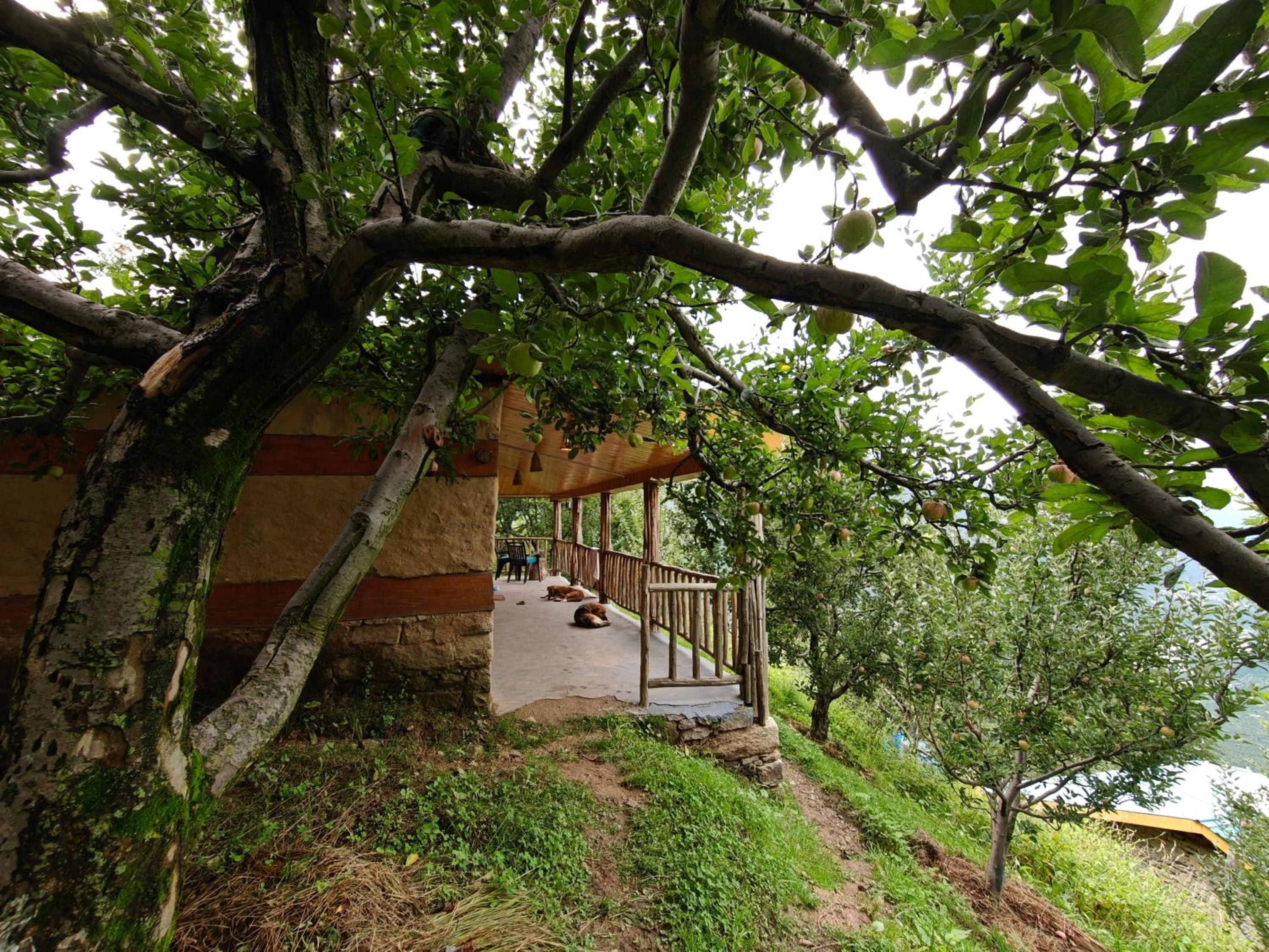Upepo - The Sky Village view 5