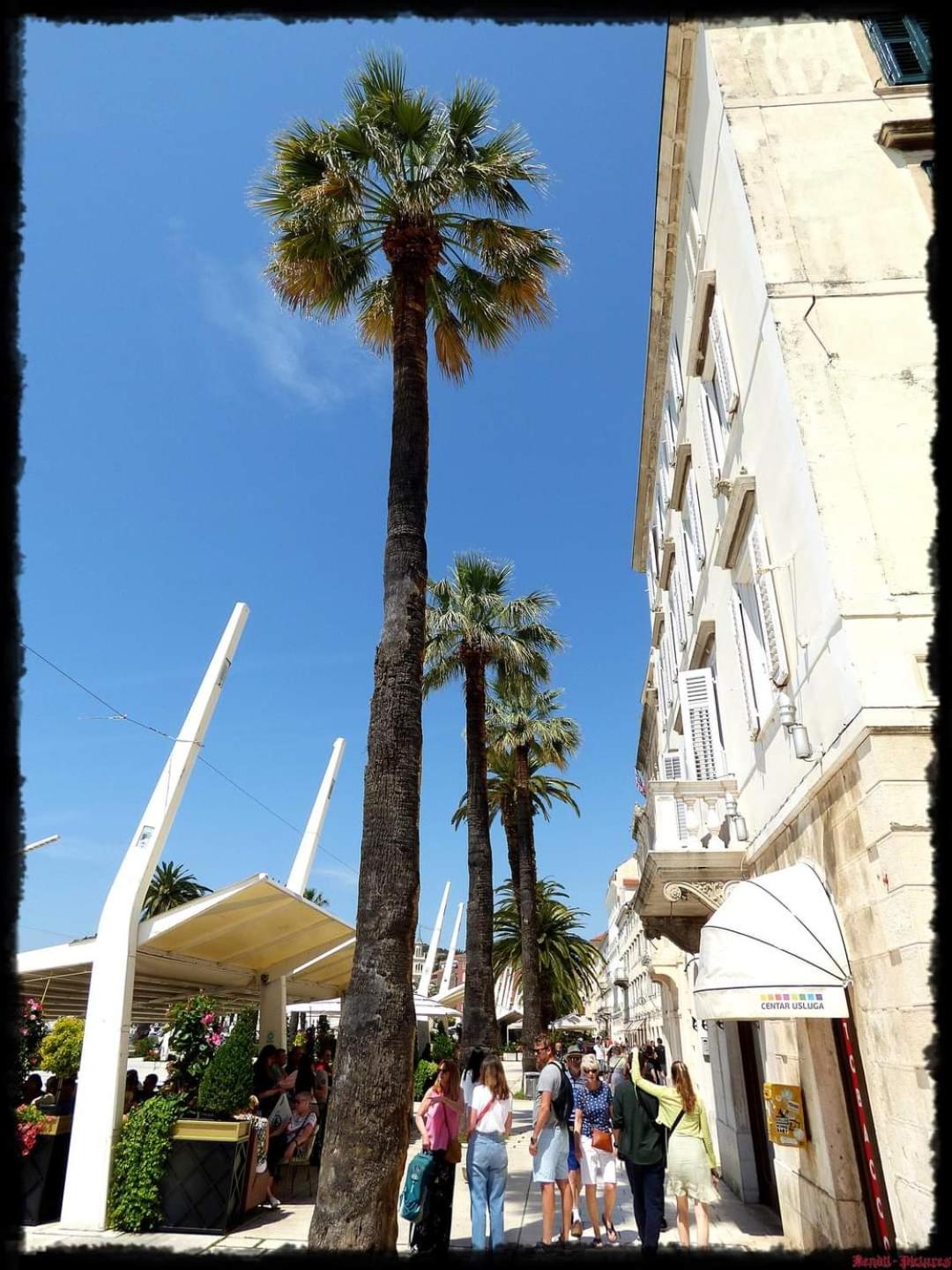 Apartman Marilu Split, self check in