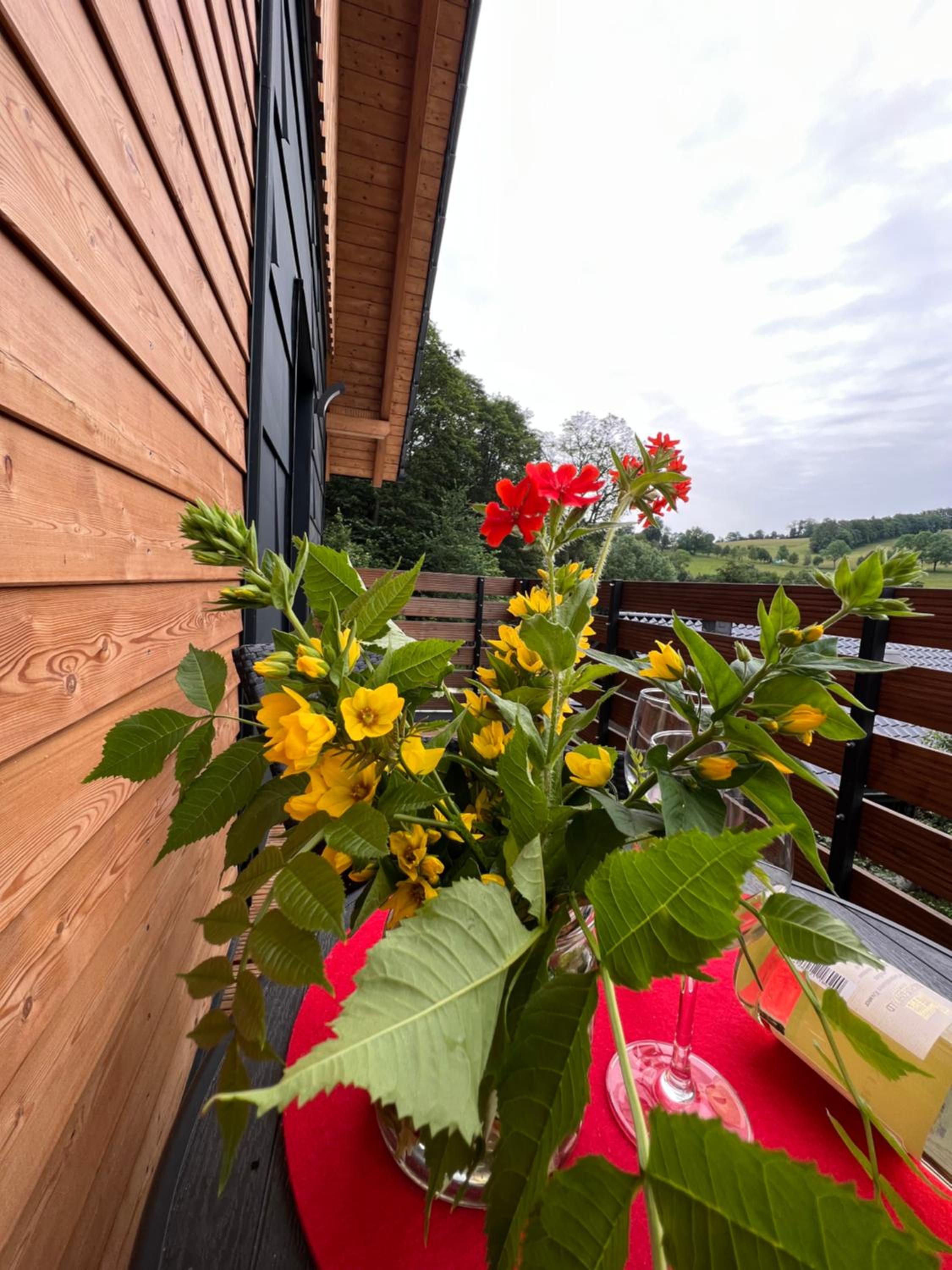 BergNest Ferienhäuser 