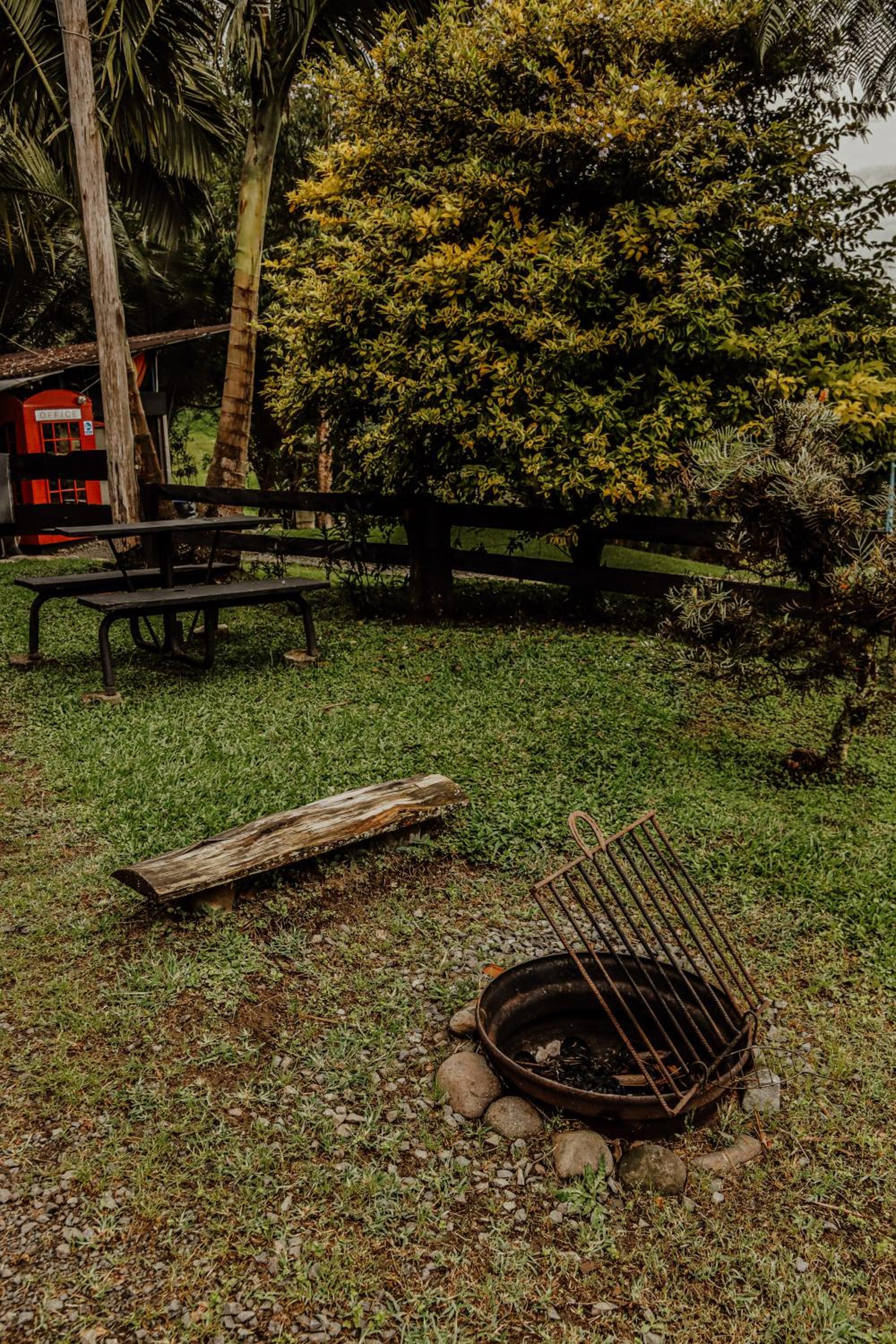 Redwood Salento