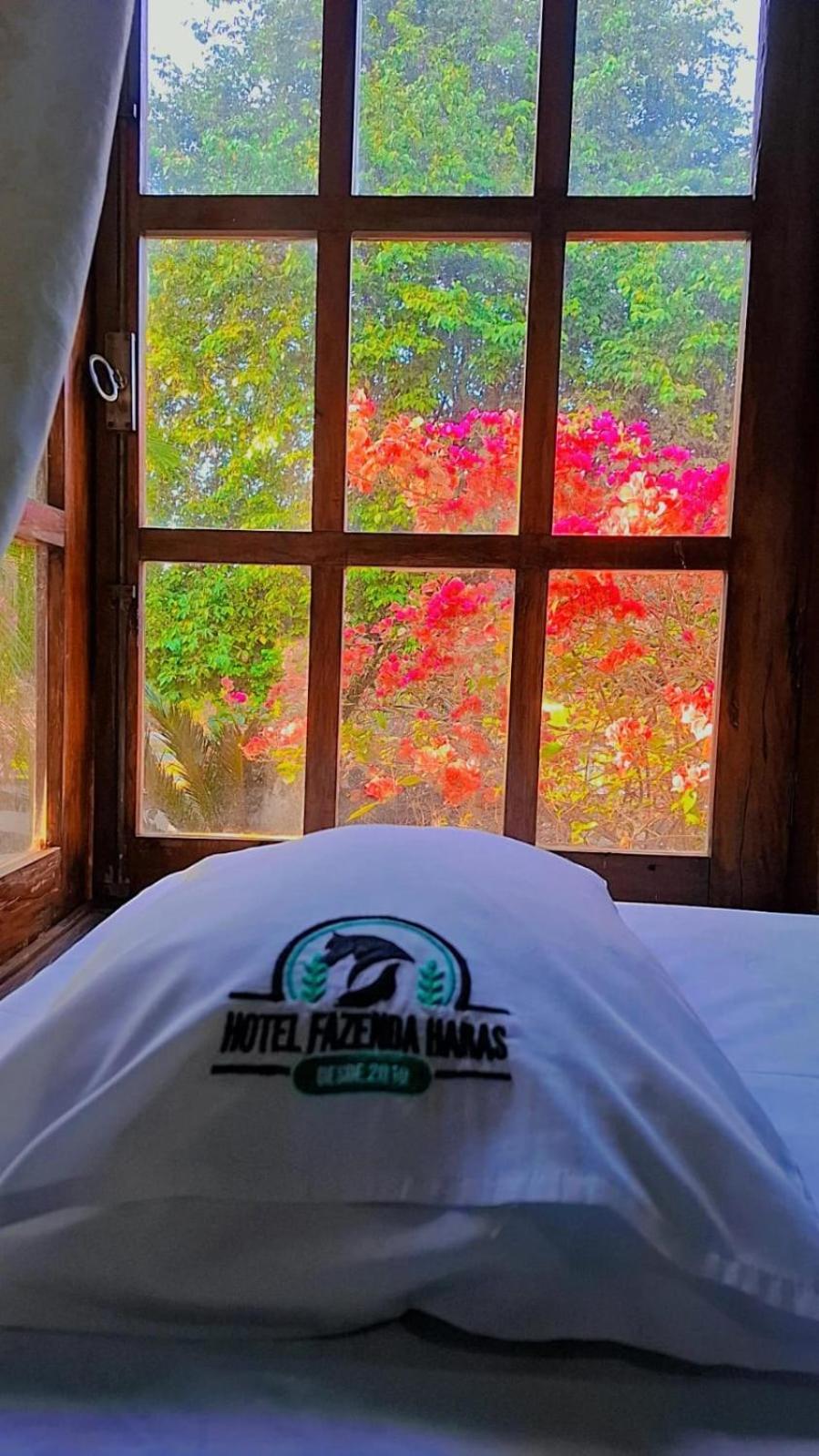 Hotel Fazenda Haras