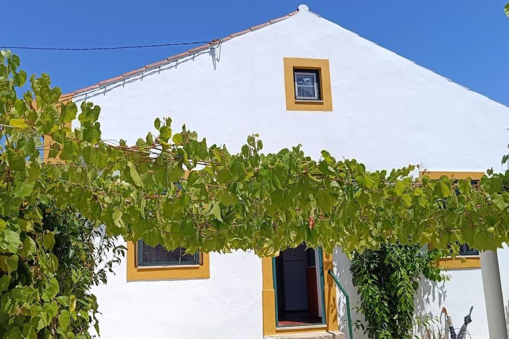 Casa 2 Jardins view 3