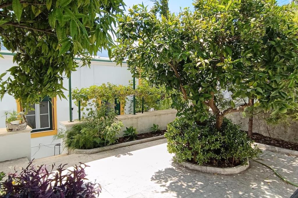 Casa 2 Jardins view 5