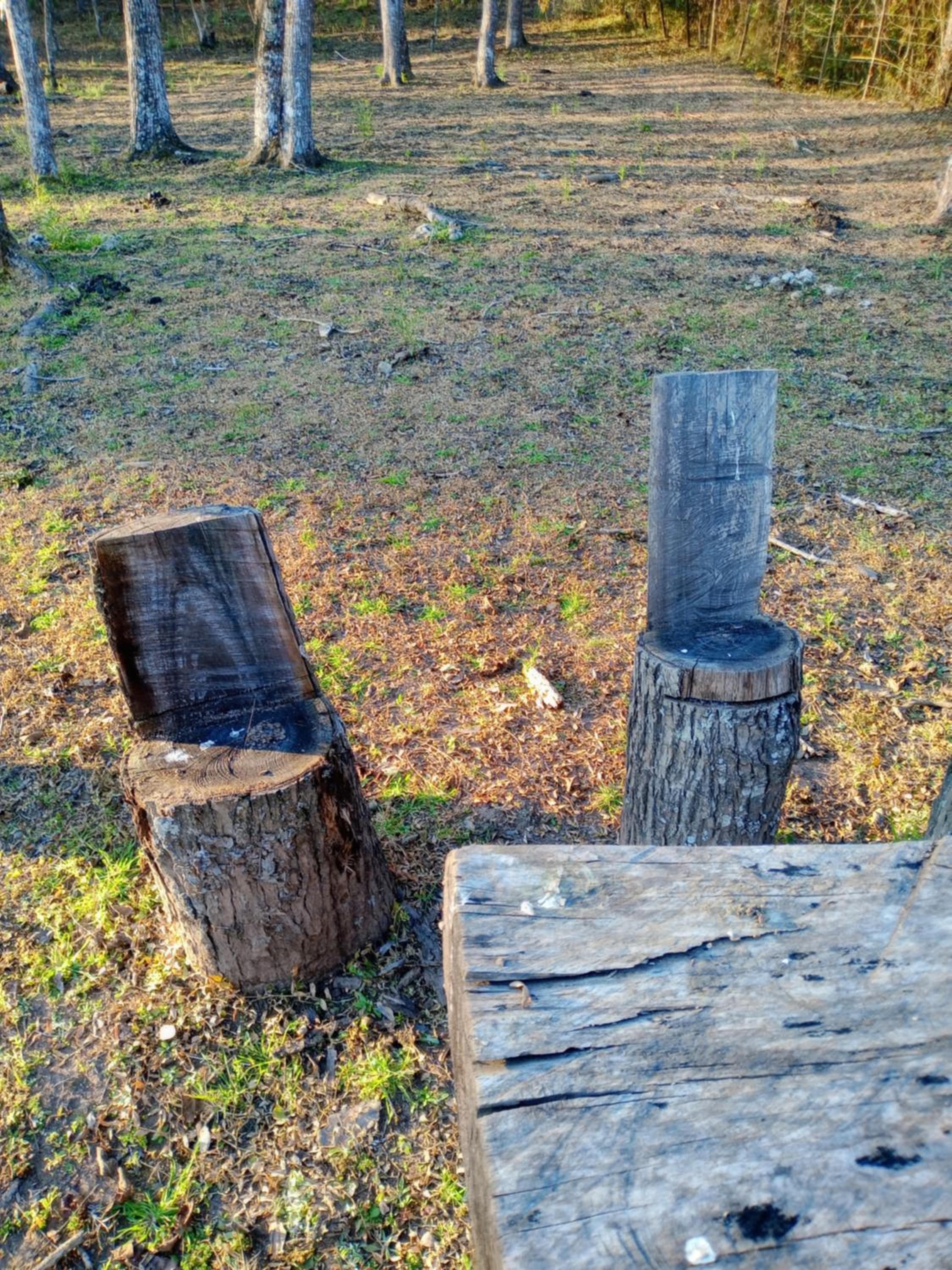 Finca La Escondida