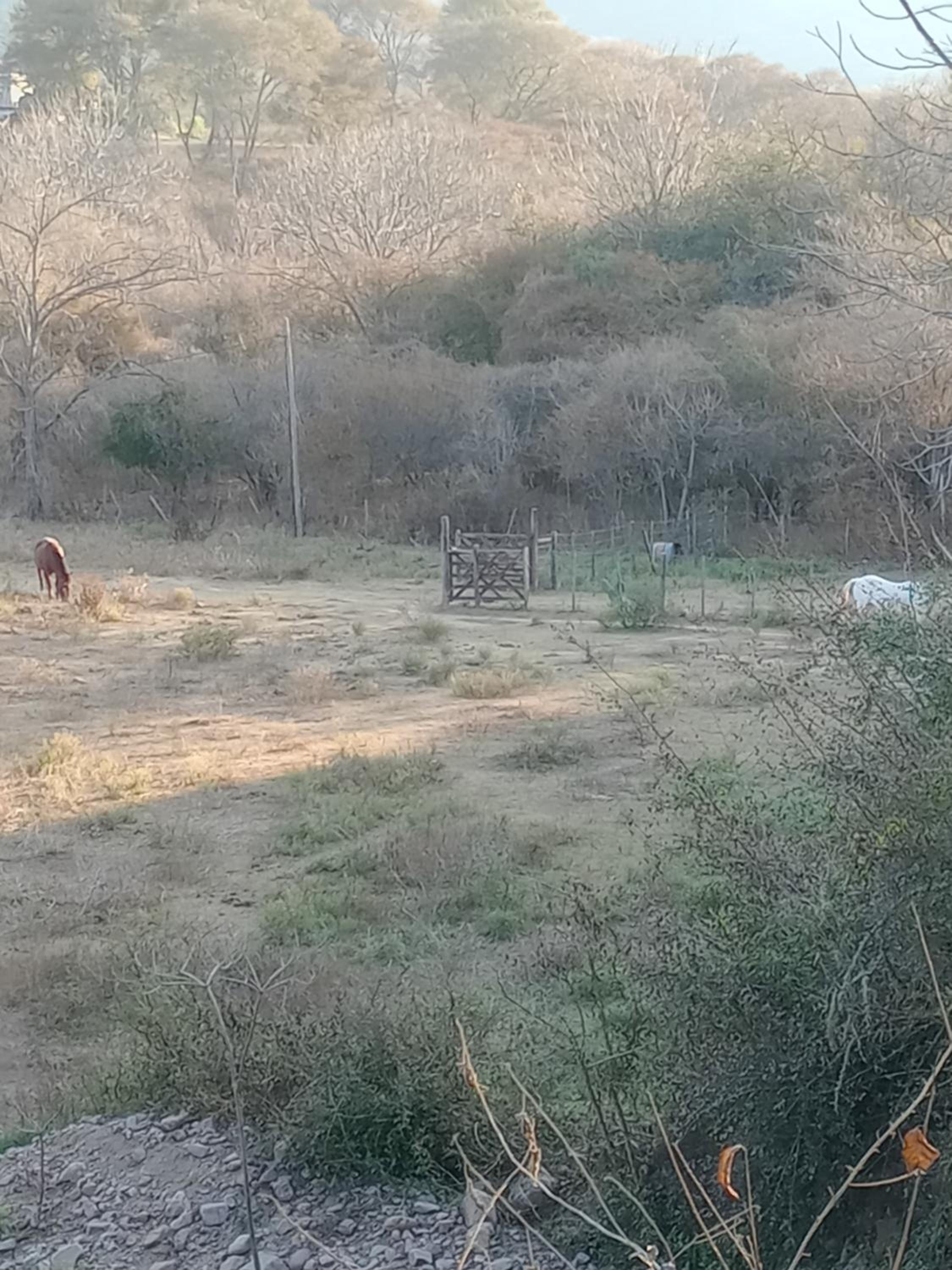 Finca La Escondida