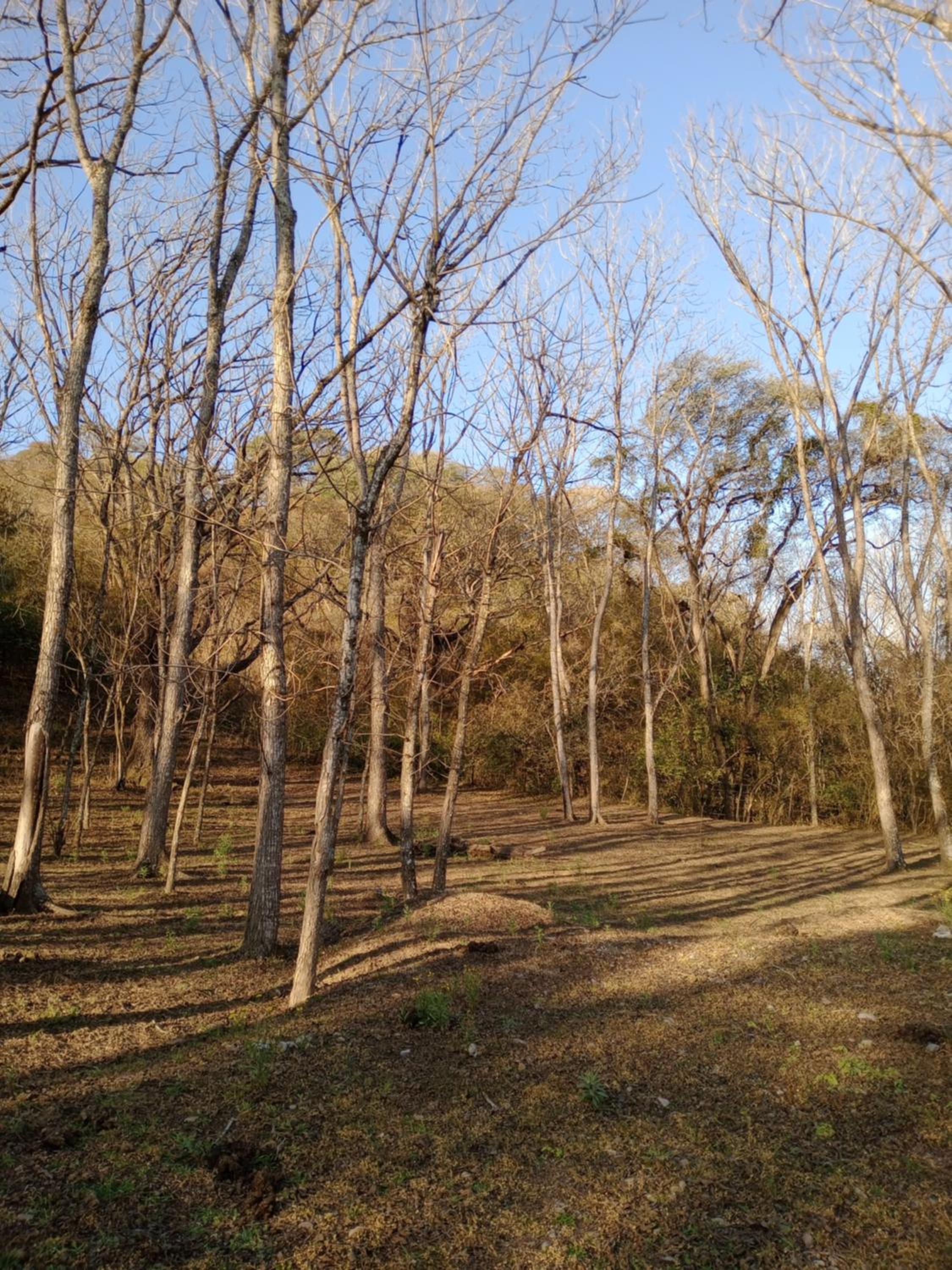 Finca La Escondida