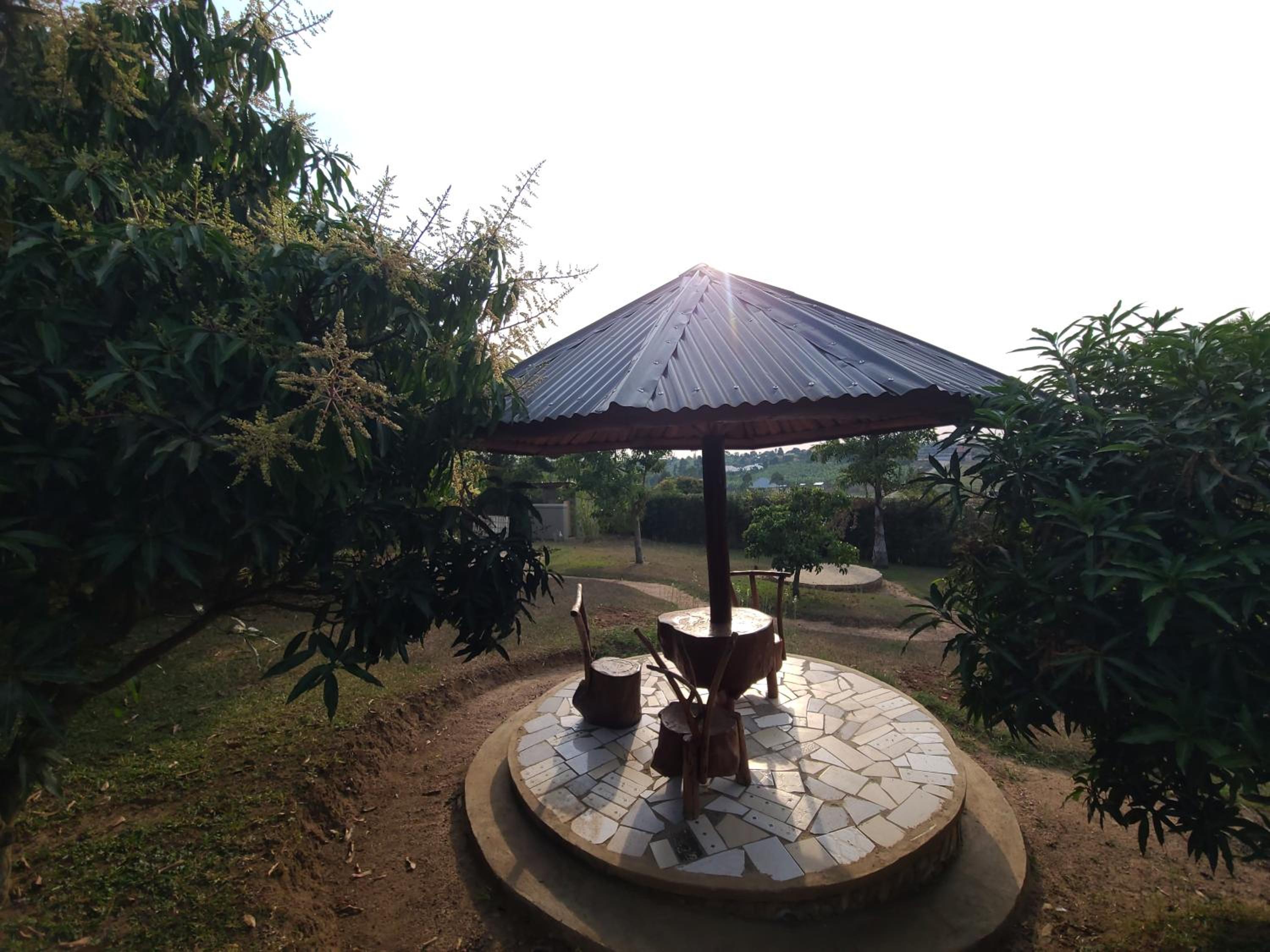 Orchard Home Homestay