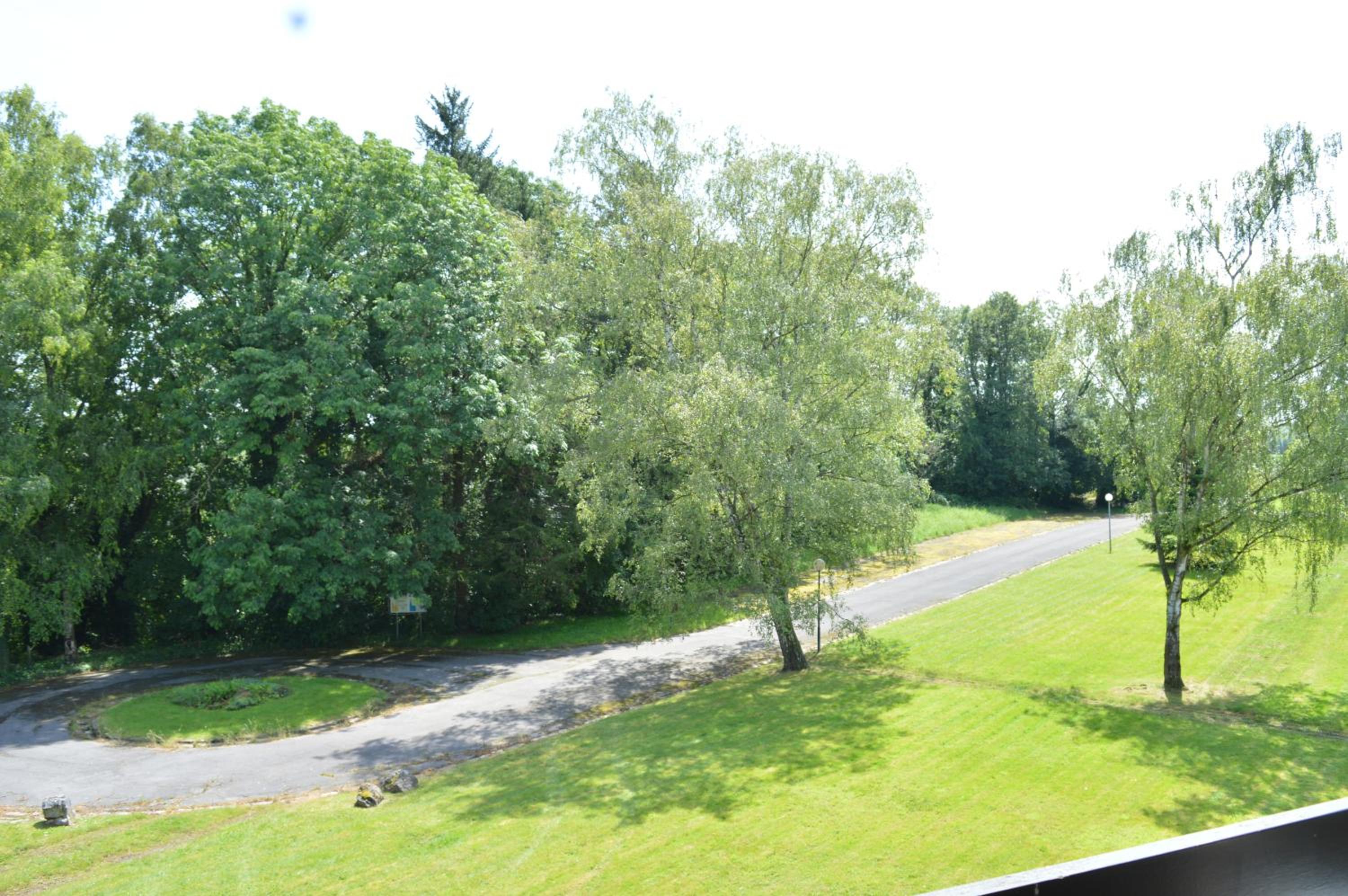 Oasis Verte