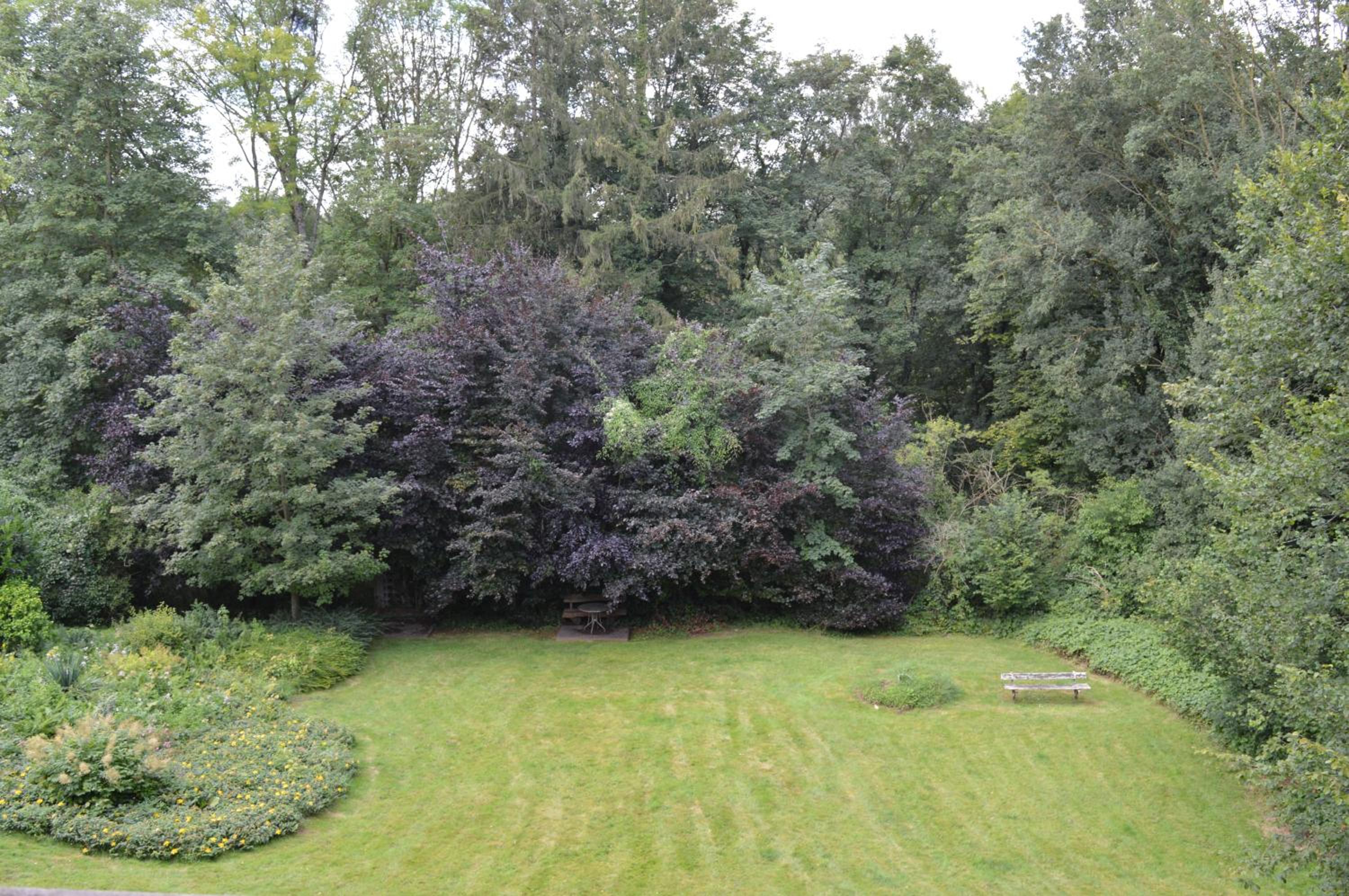 Oasis Verte