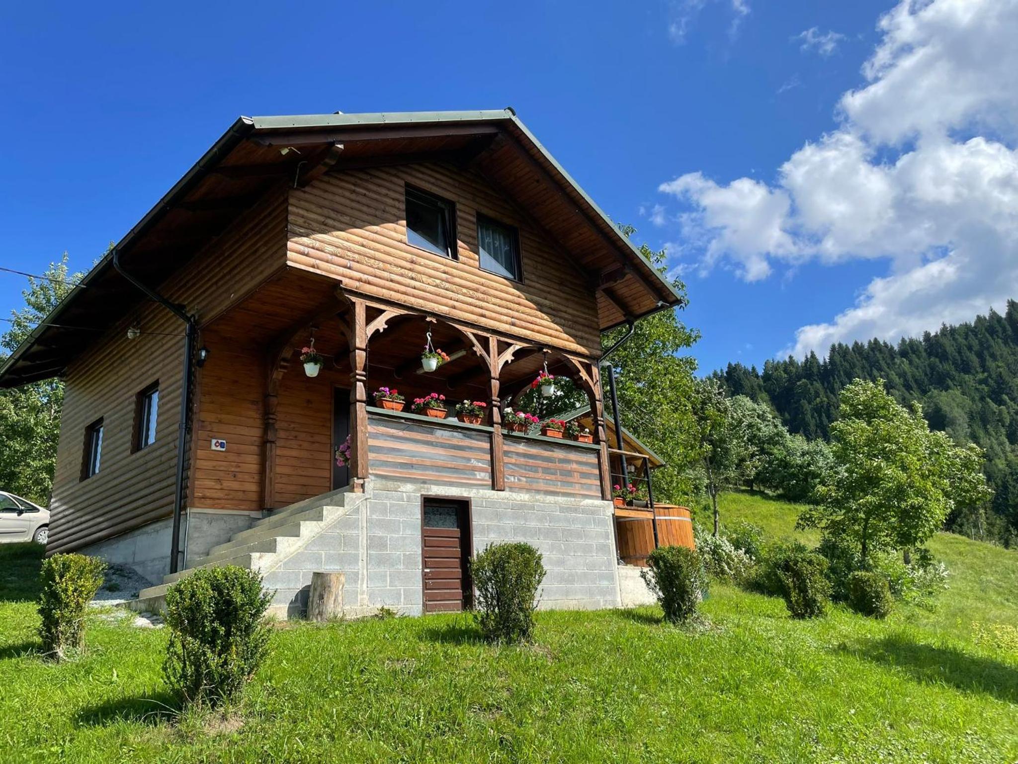 CABANA MERISORULUI view 2