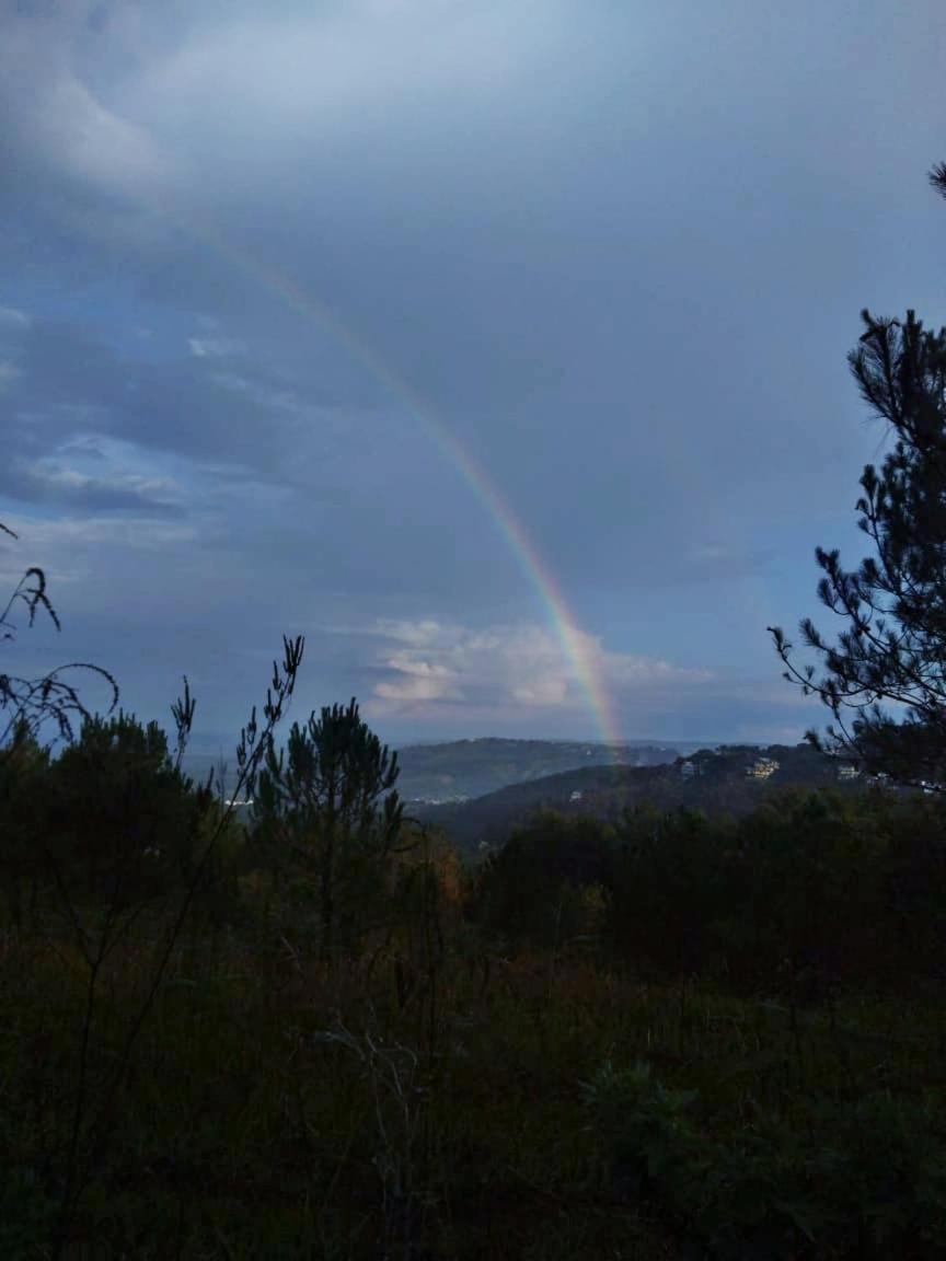 Hills Abode Homestay Shillong