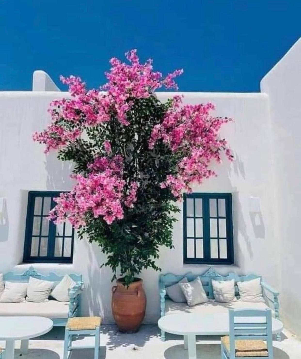 Luxury Twin Villa in Mountain View Ras Elhikma
