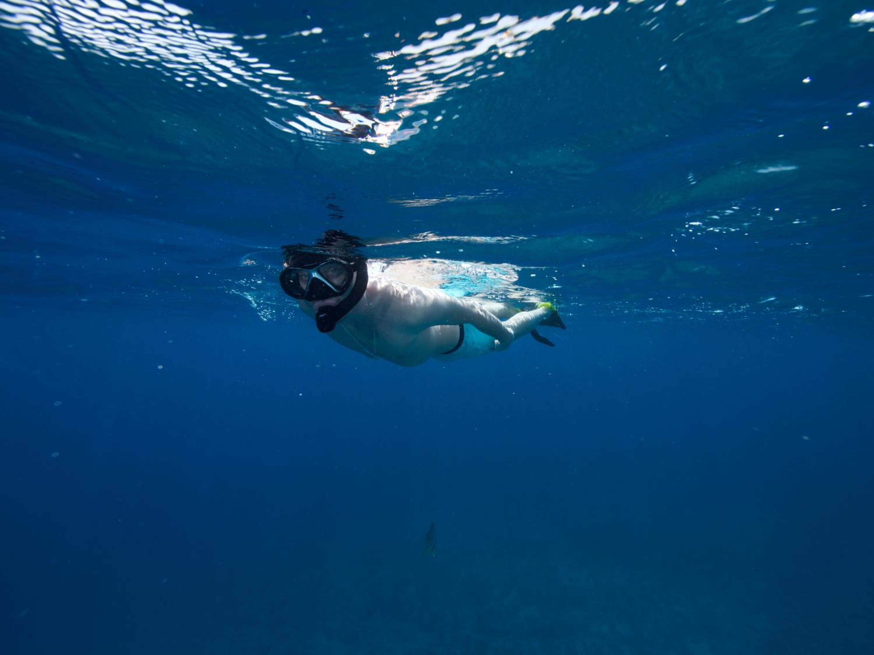 Photo 46