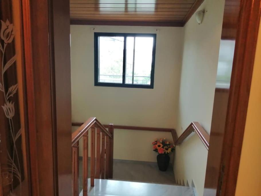 Nansy's house